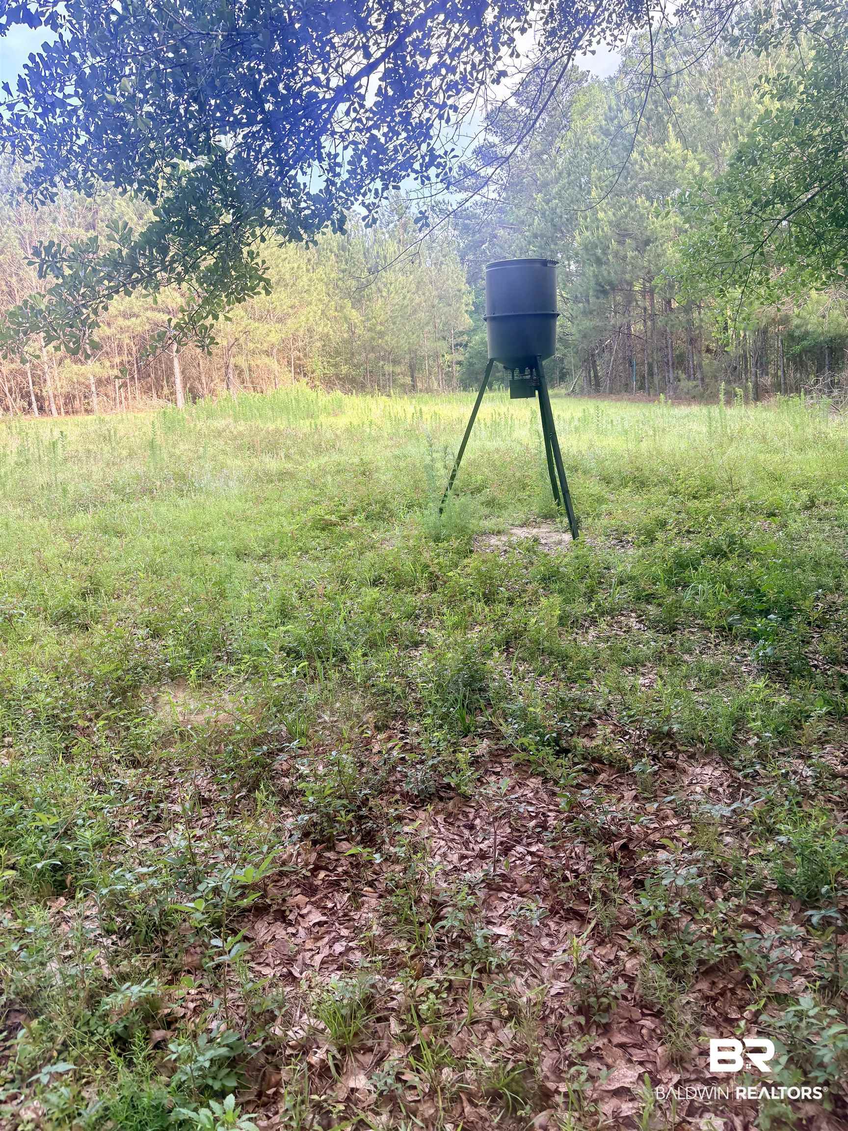396649 | Photo 12