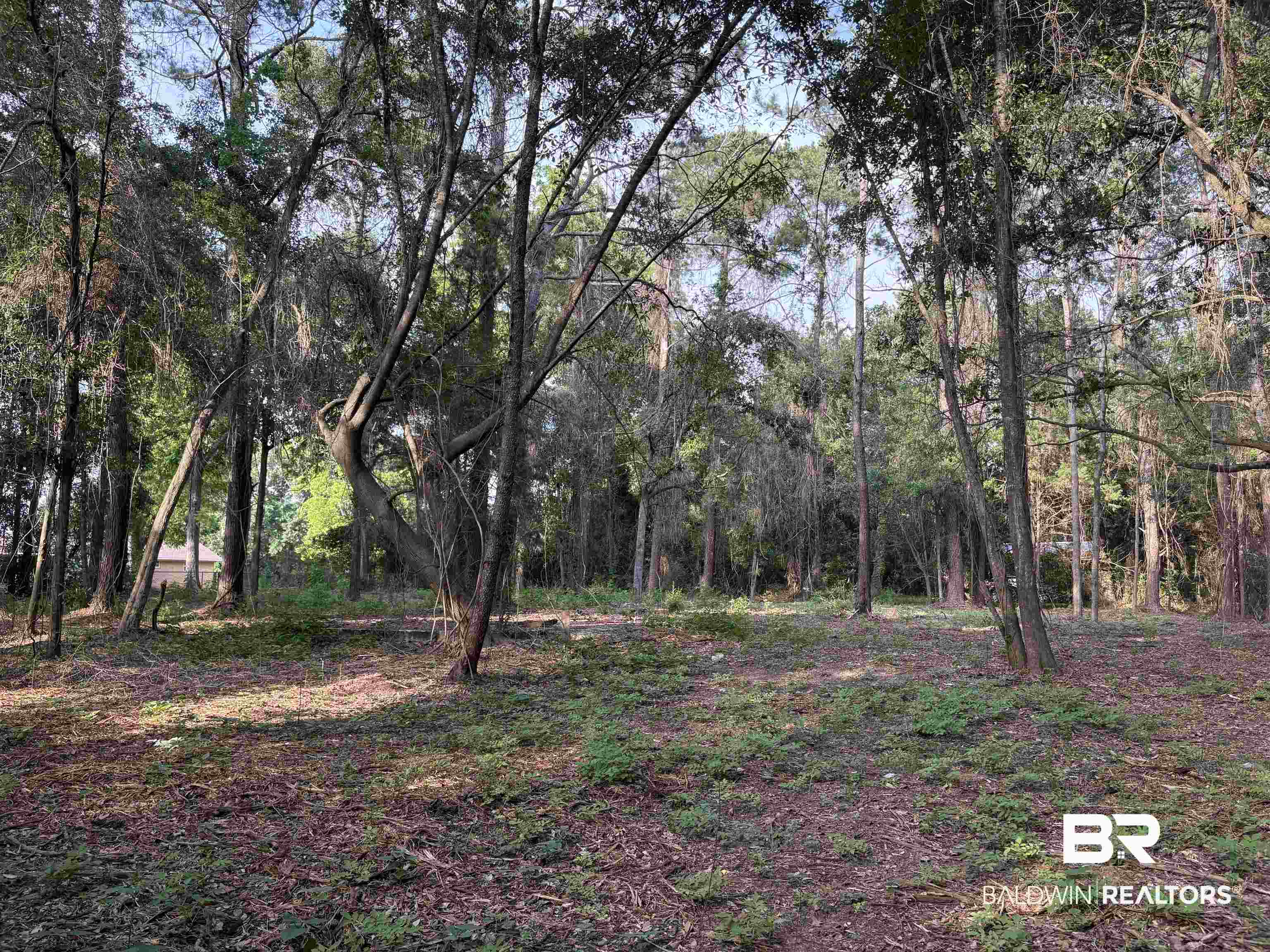 Land For Sale in Daphne AL