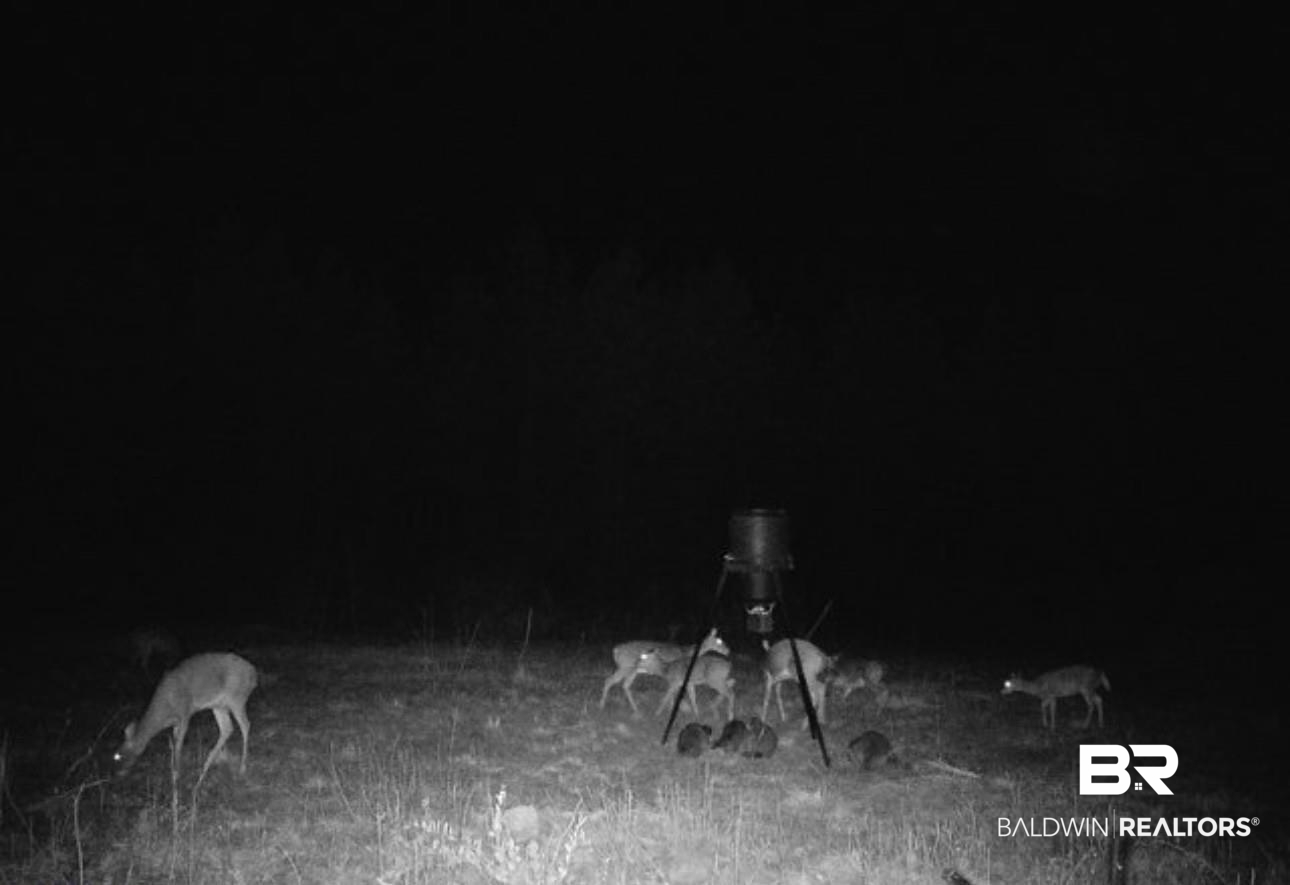 397210 | Photo 17