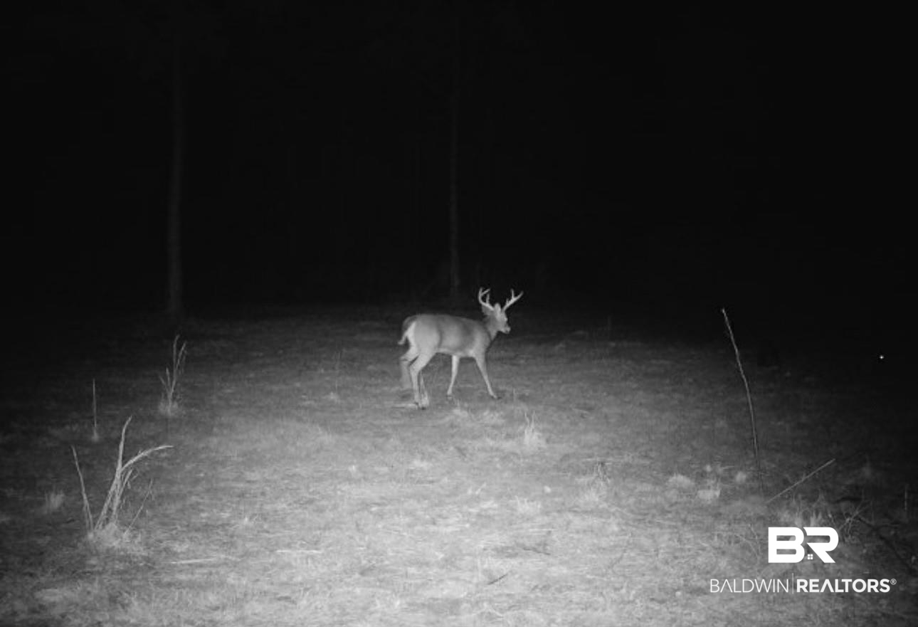 397210 | Photo 18