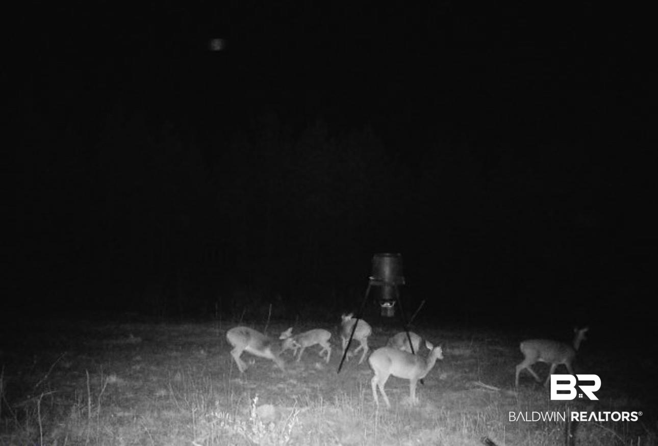 397210 | Photo 22