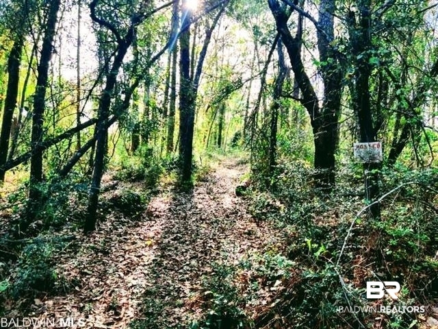 397301 | Photo 3