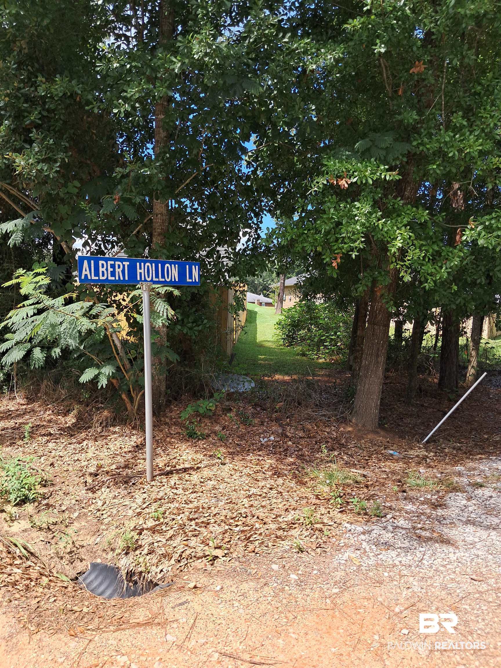 397301 | Photo 11