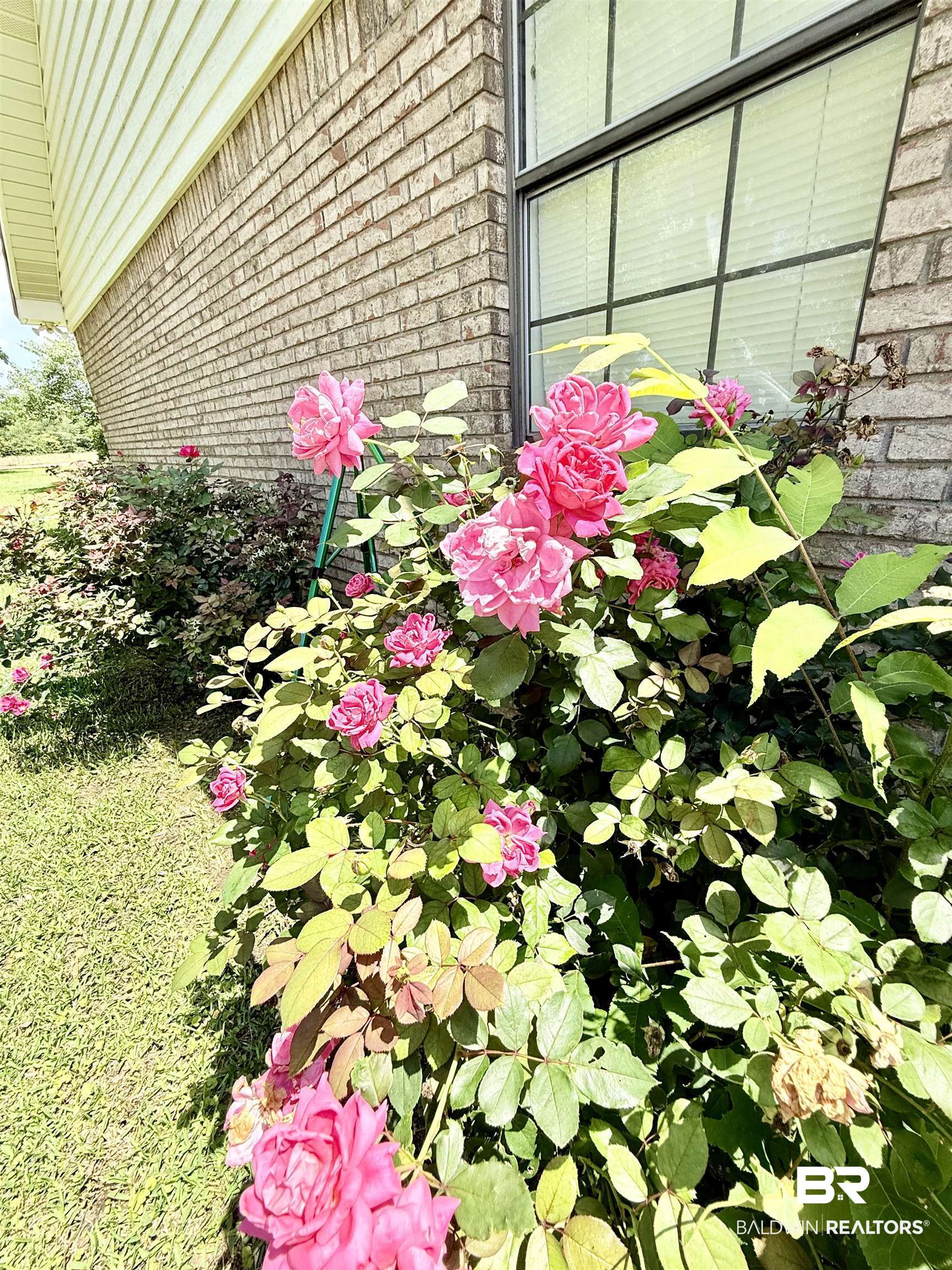 397401 | Photo 12