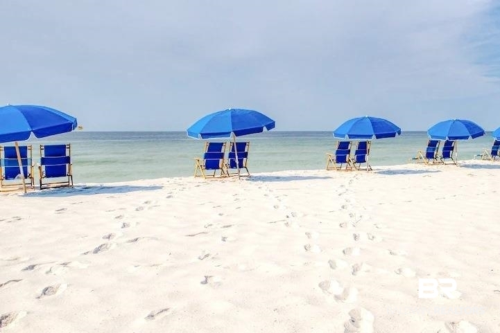 397384 | Photo 28