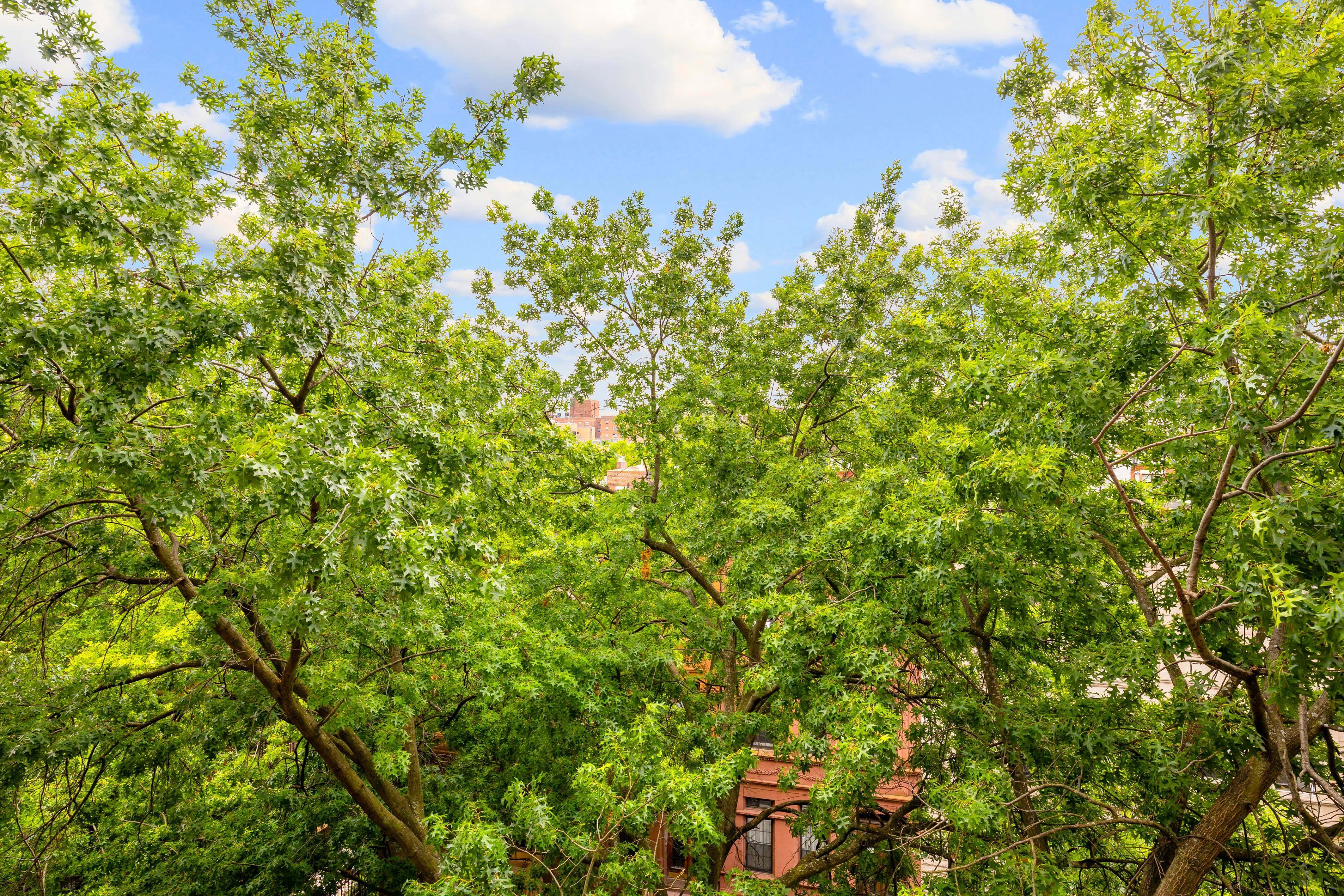 405 West 149th Street Hamilton Heights New York NY 10031