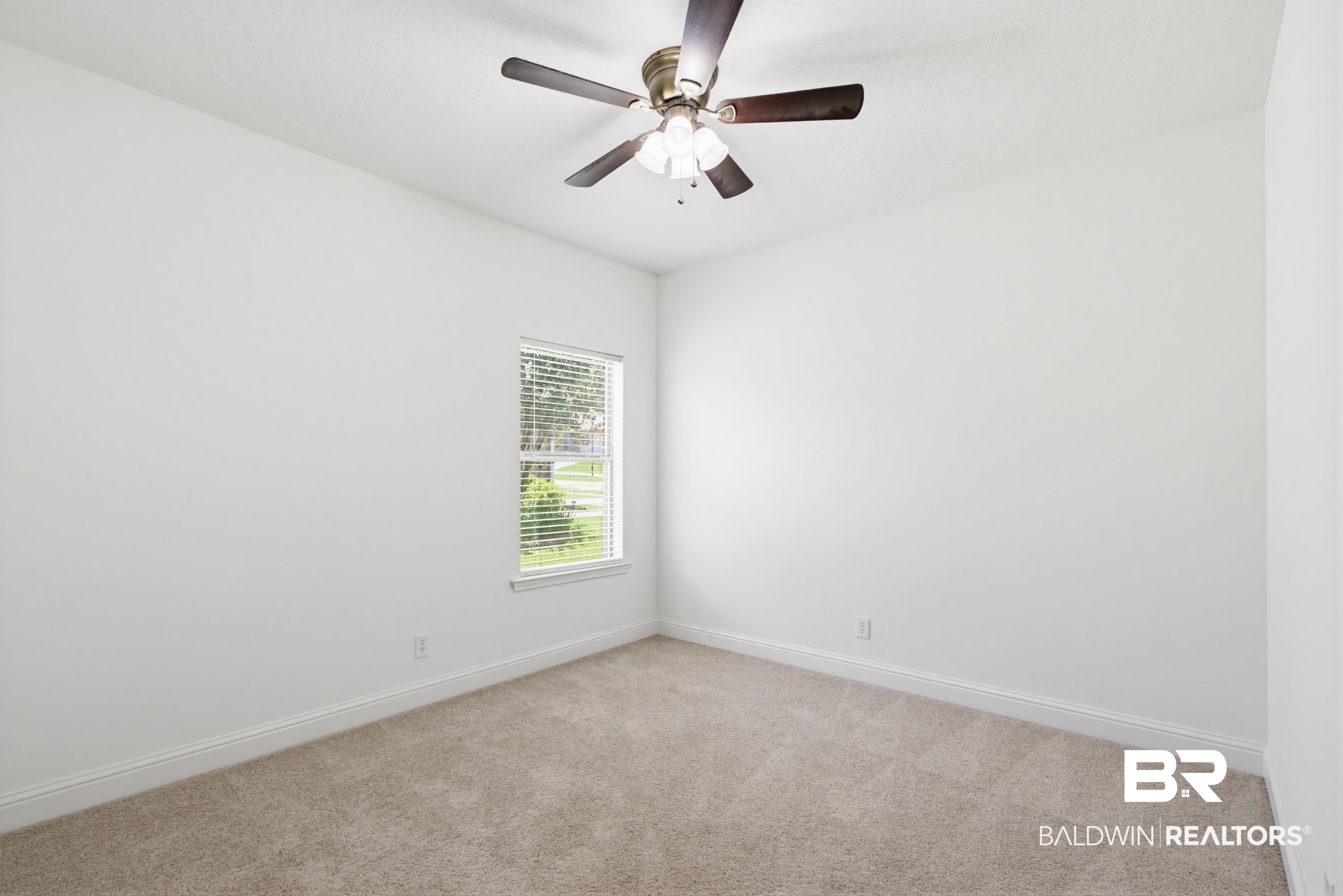 393649 | Photo 13
