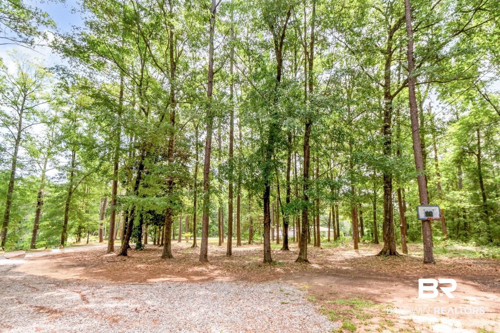 397642 | Photo 26