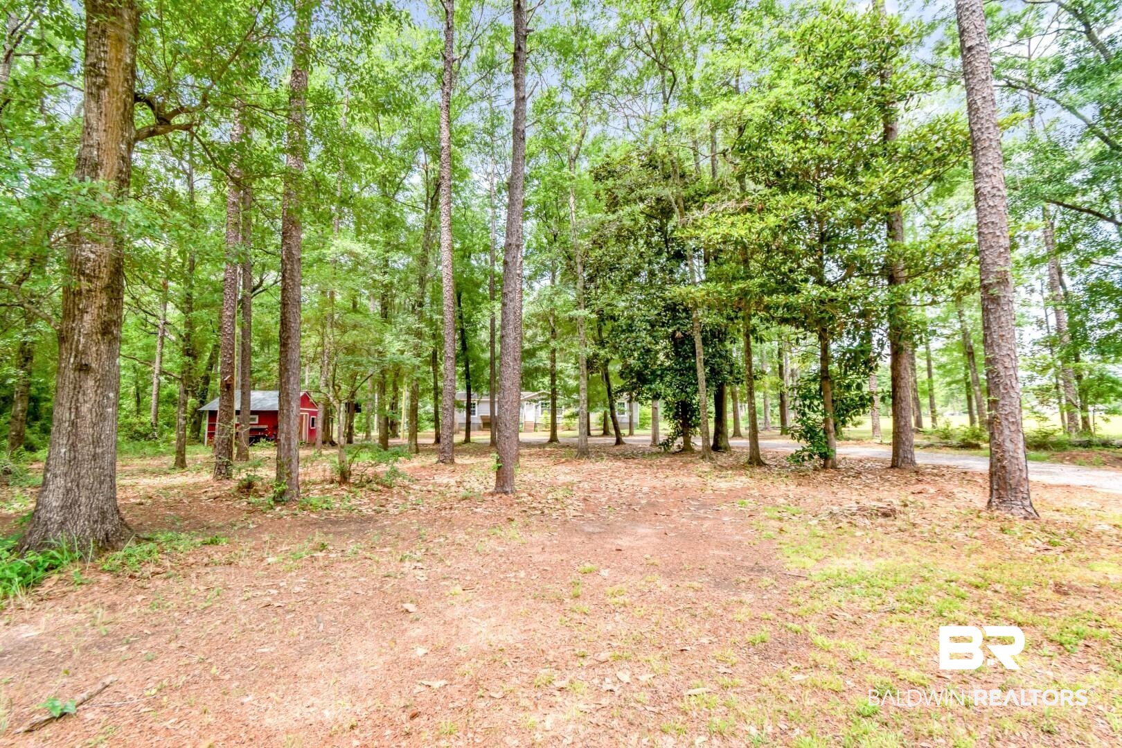 397642 | Photo 28