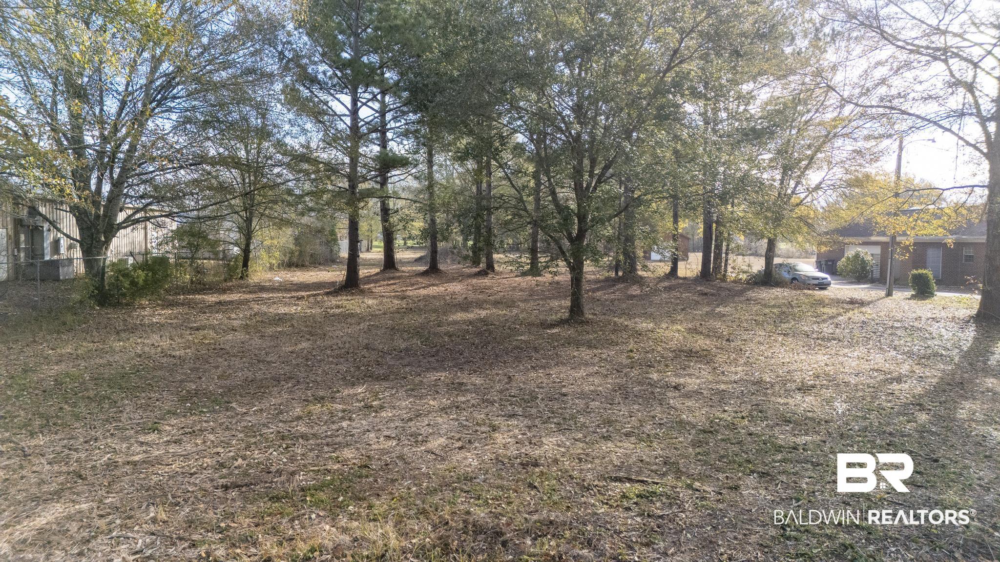 Commercial Property for Sale - Daphne