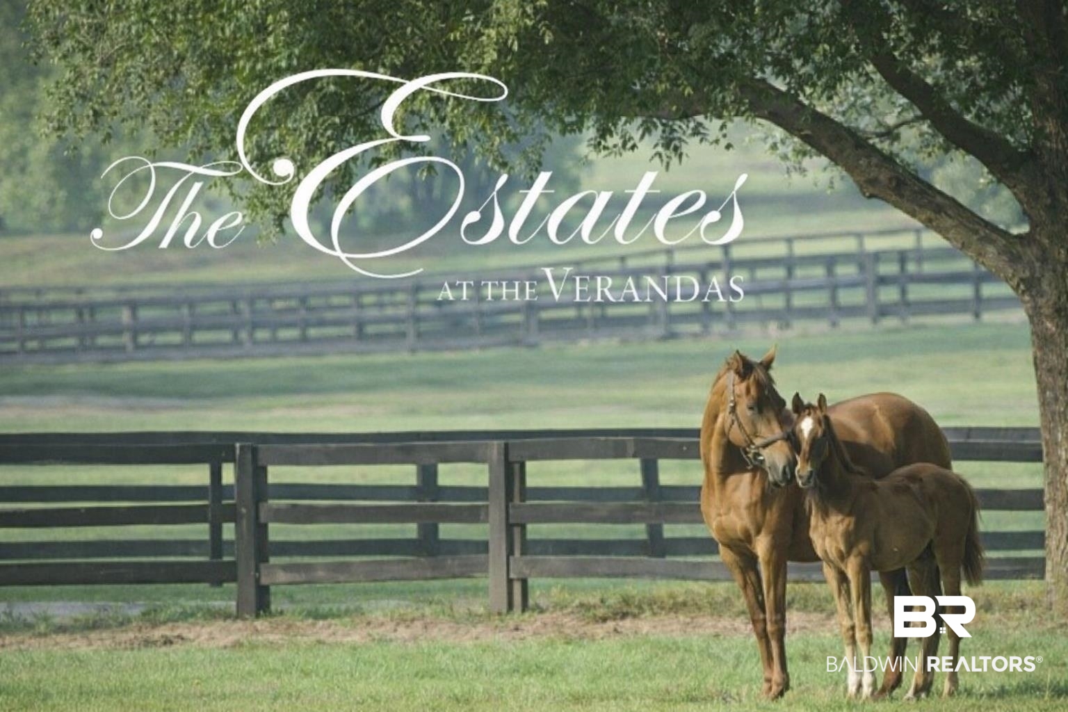 Homes for Sale in The Verandas