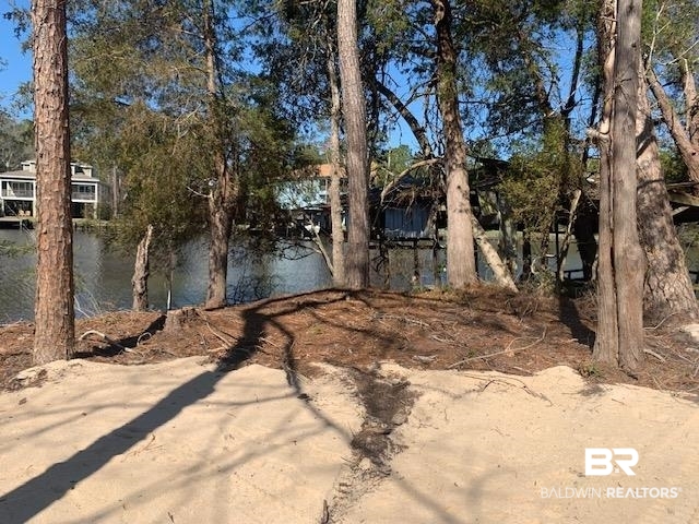 397662 | Photo 8