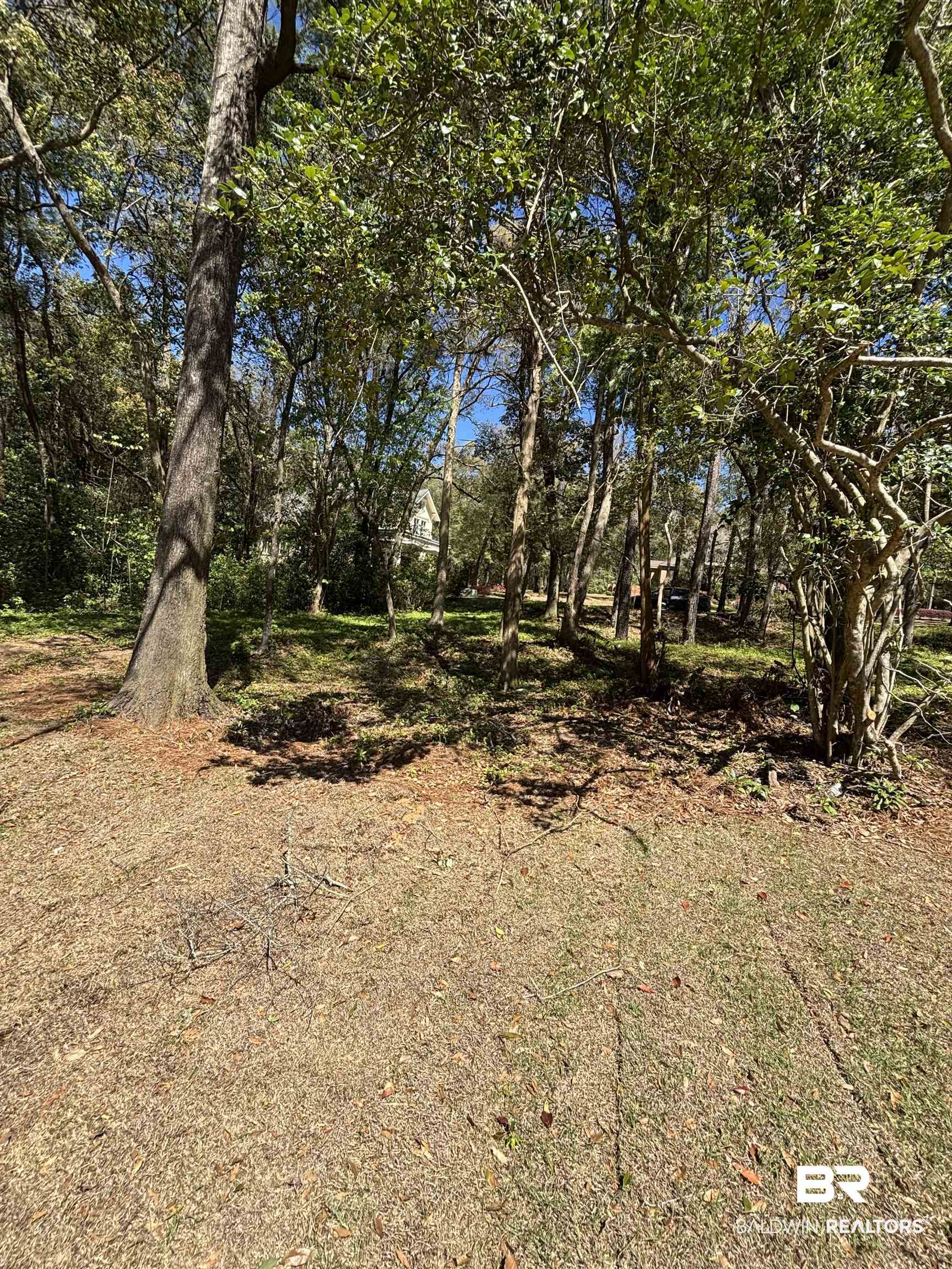 397837 | Photo 22