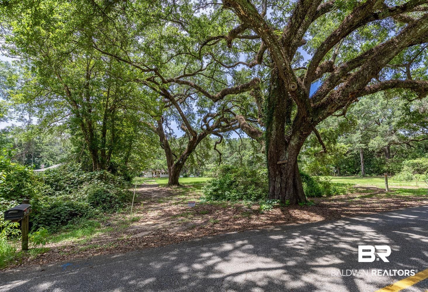 Magnolia Springs AL Real Estate