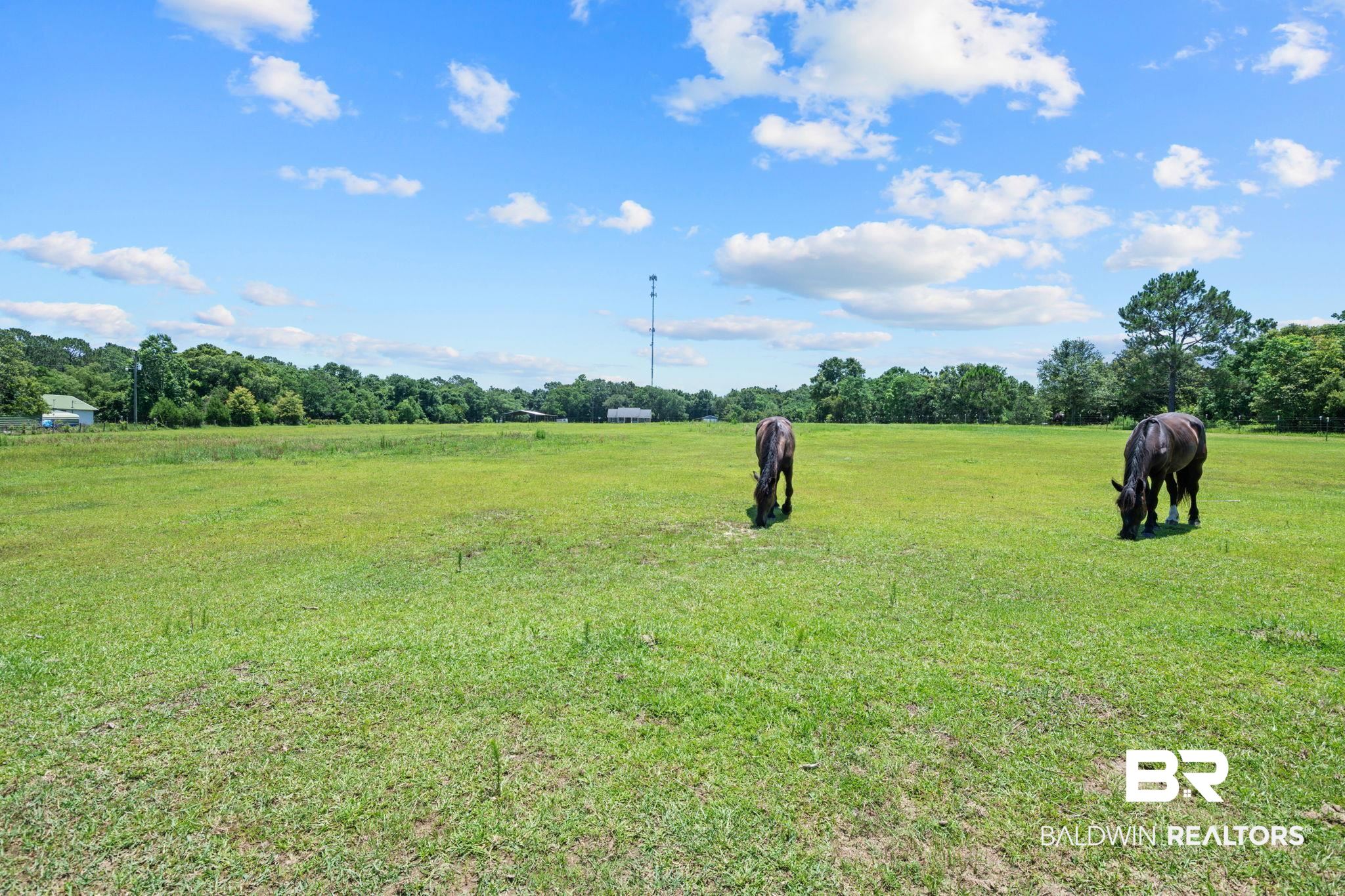 398147 | Photo 4