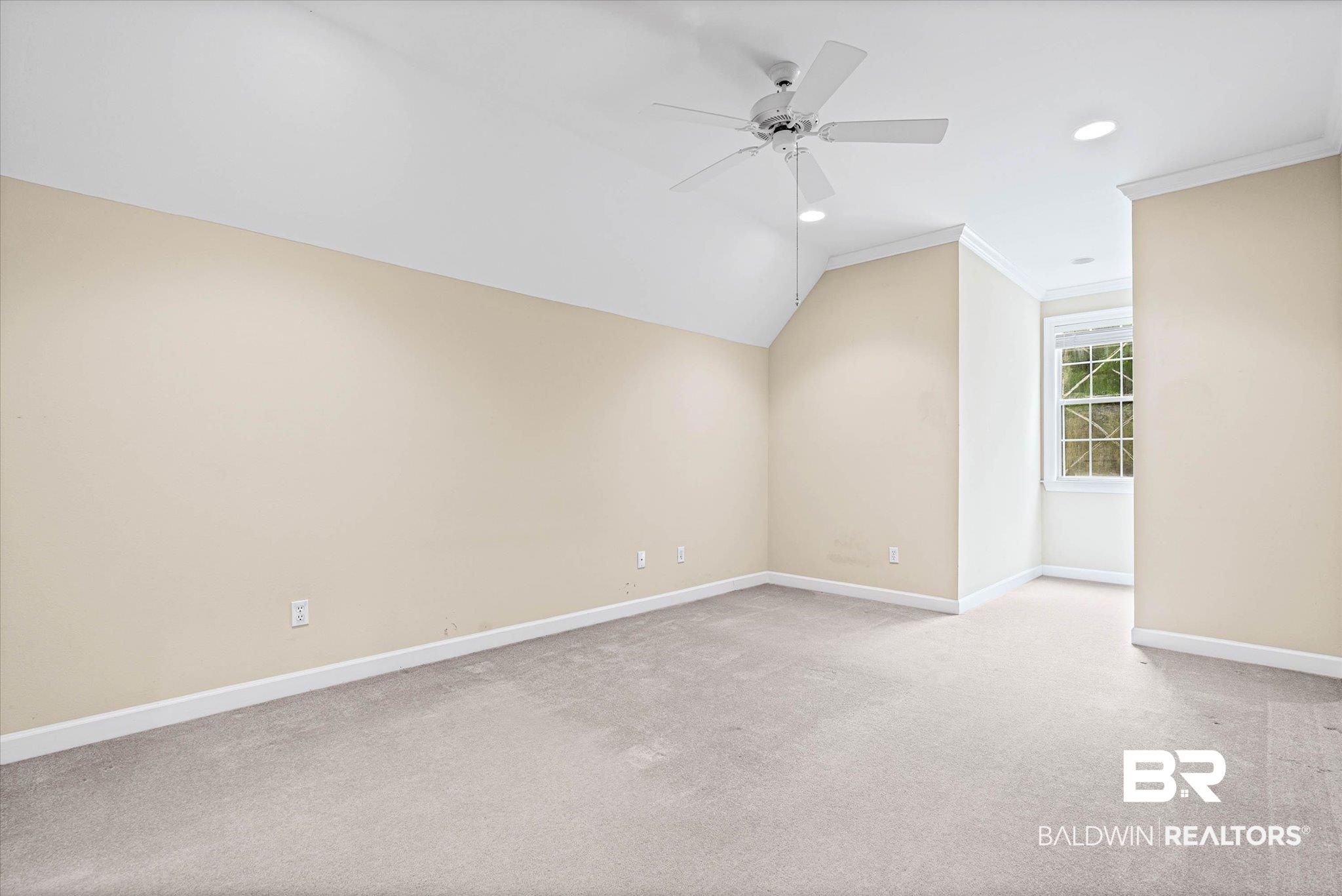 398151 | Photo 22