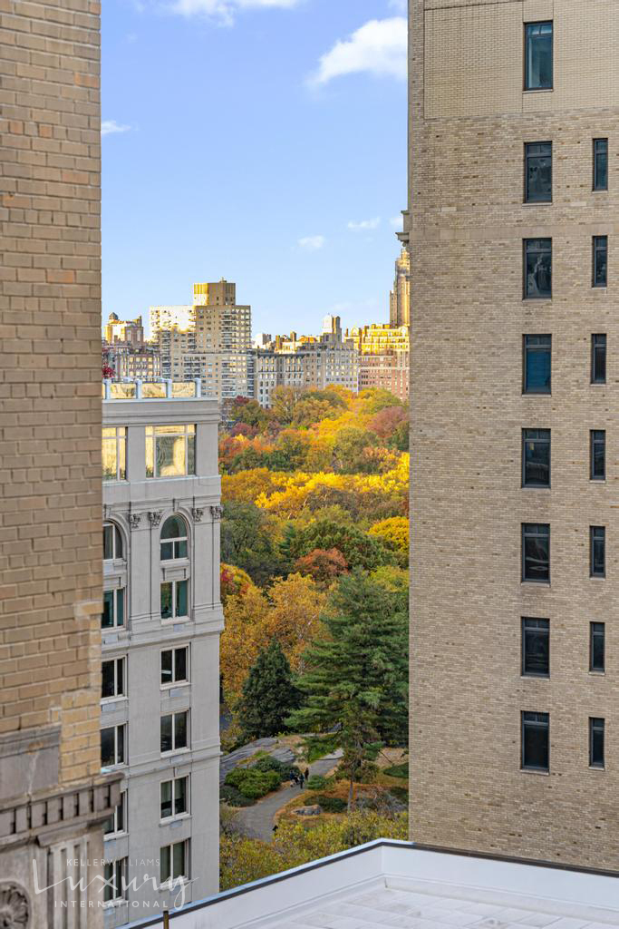 58 West 58th Street 19A Midtown West New York NY 10019