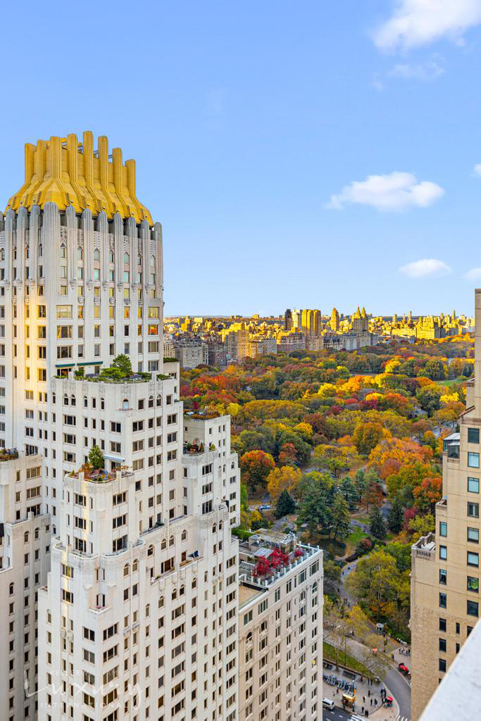 58 West 58th Street 19A Midtown West New York NY 10019