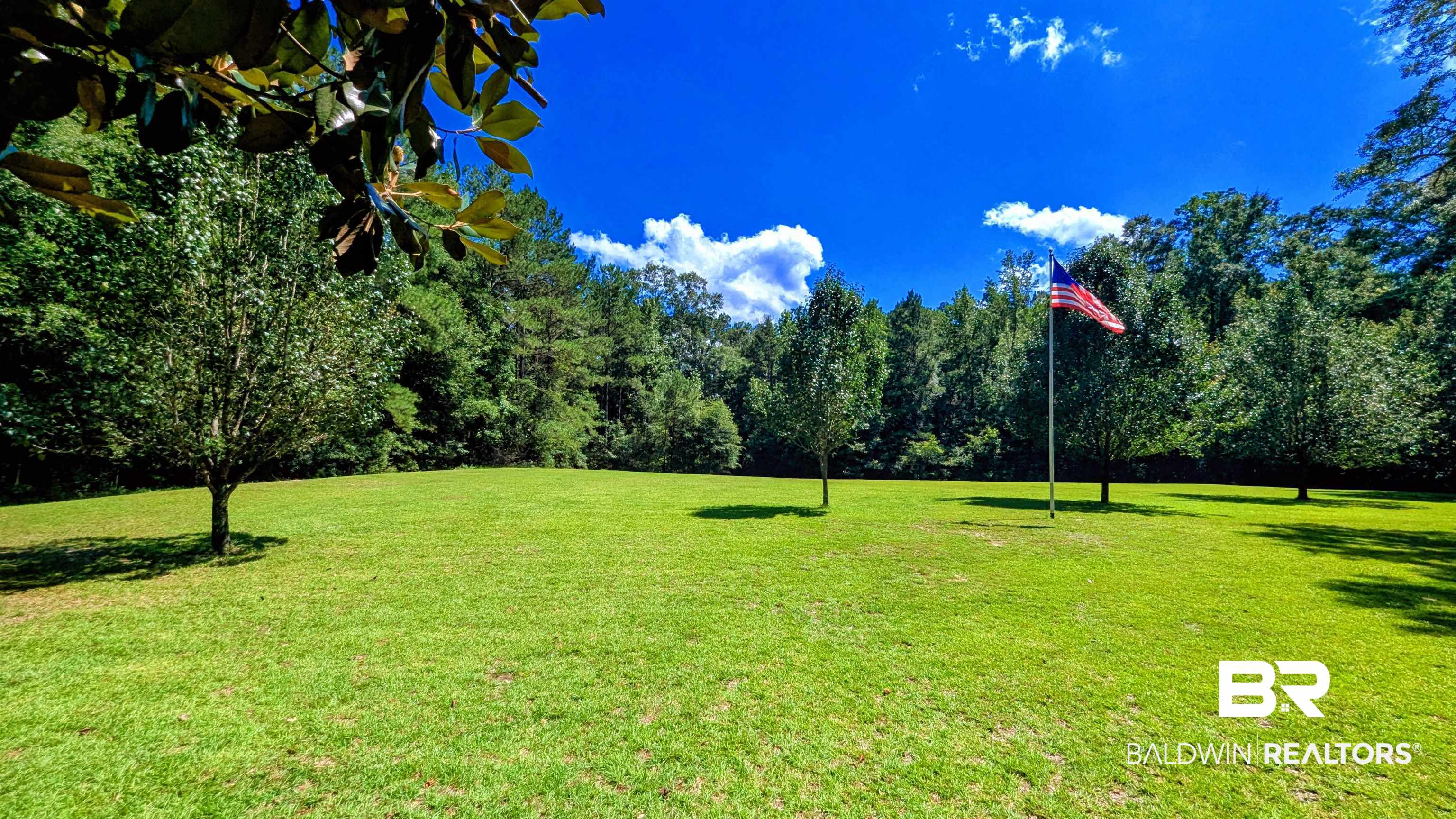 398364 | Photo 91