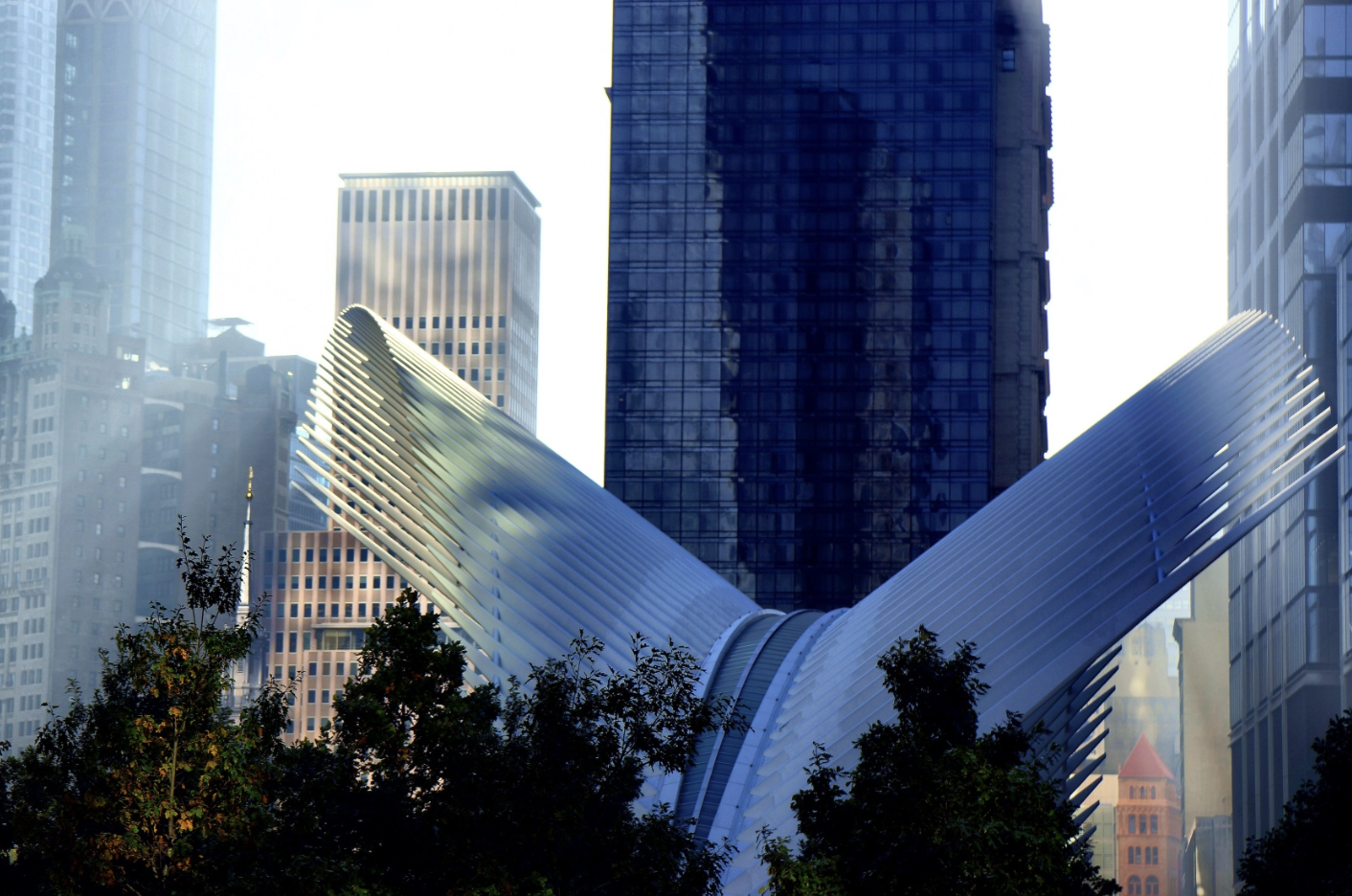 88 Greenwich Street 1110 Financial District New York NY 10006