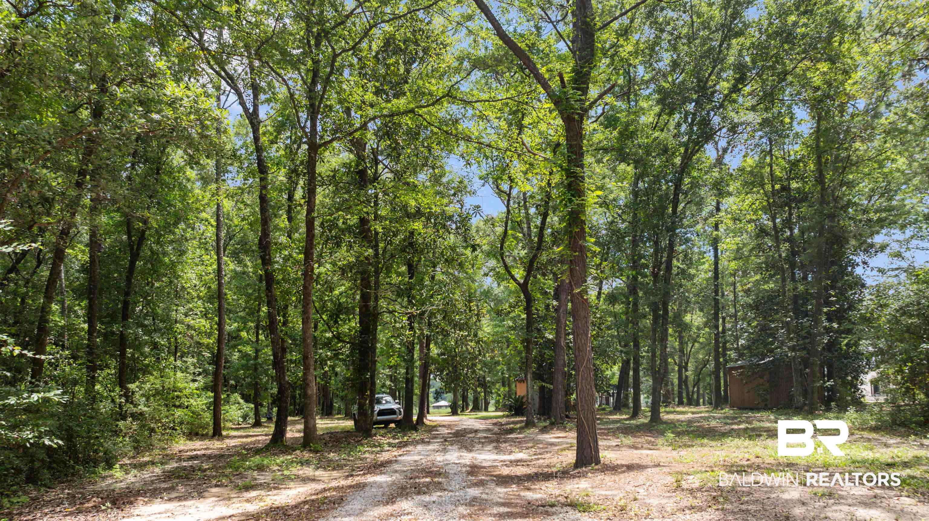 398450 | Photo 24
