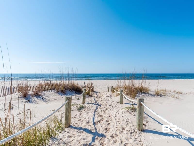 398465 | Photo 55