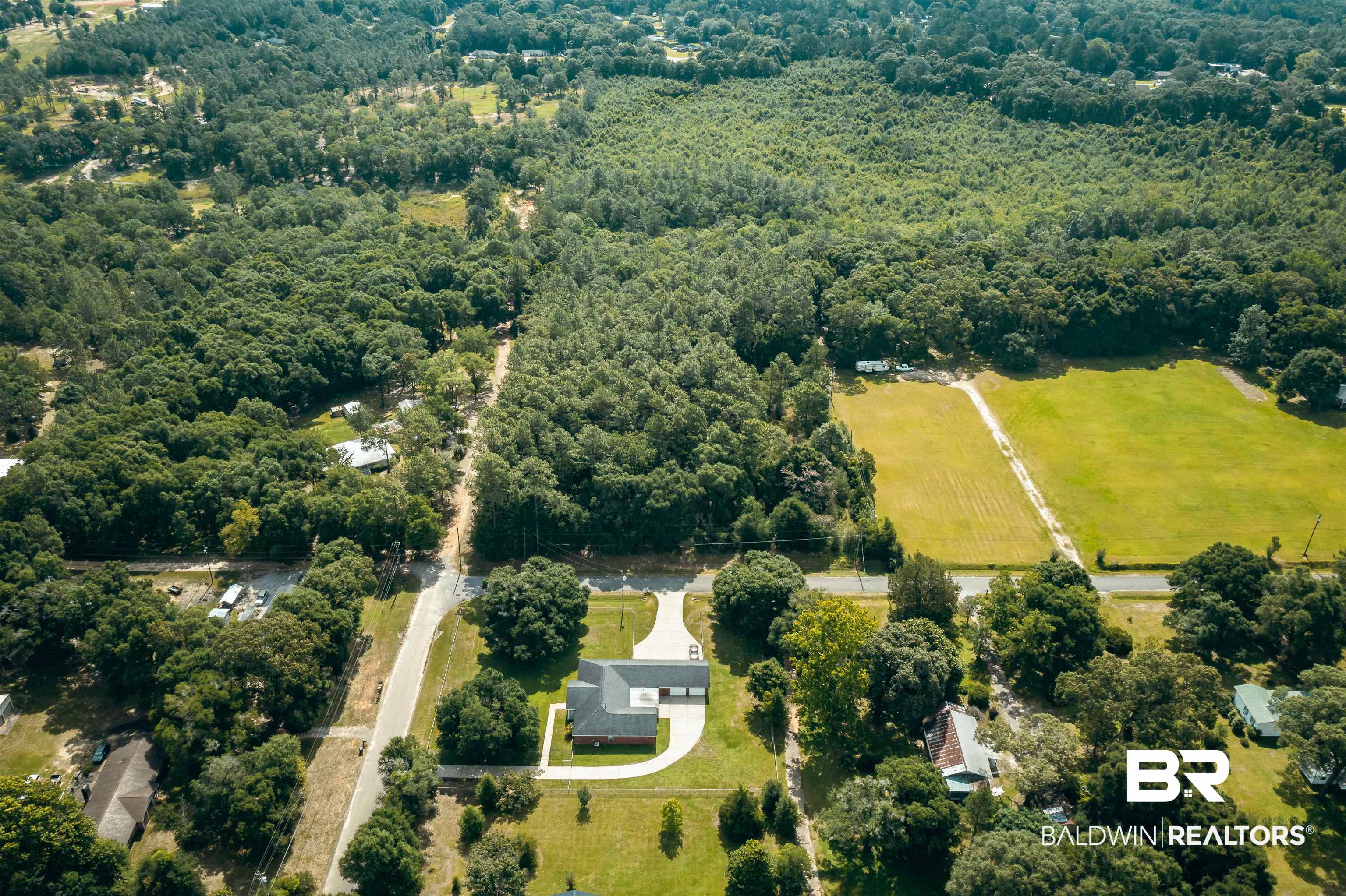 398499 | Photo 15