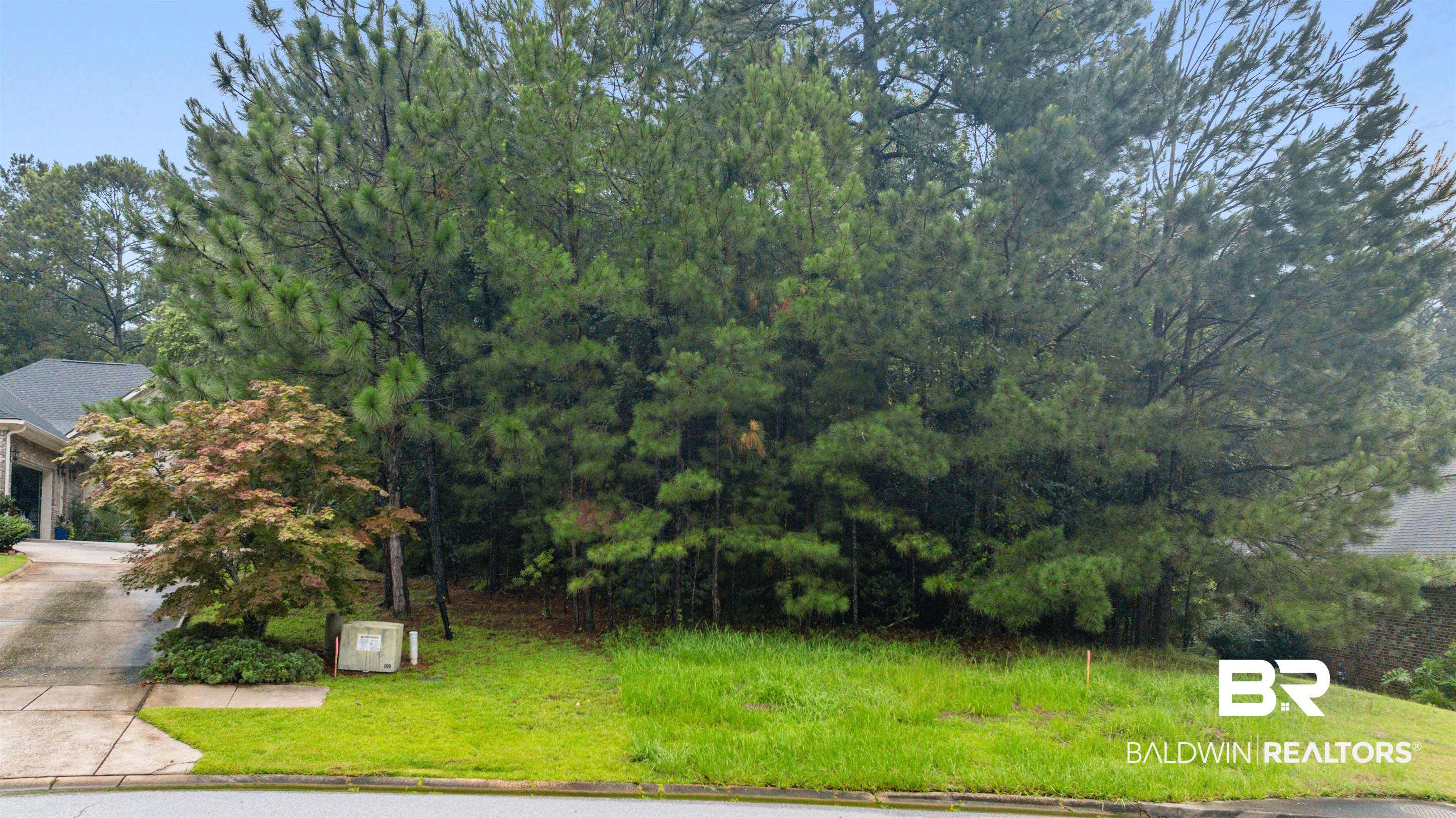 398534 | Photo 3