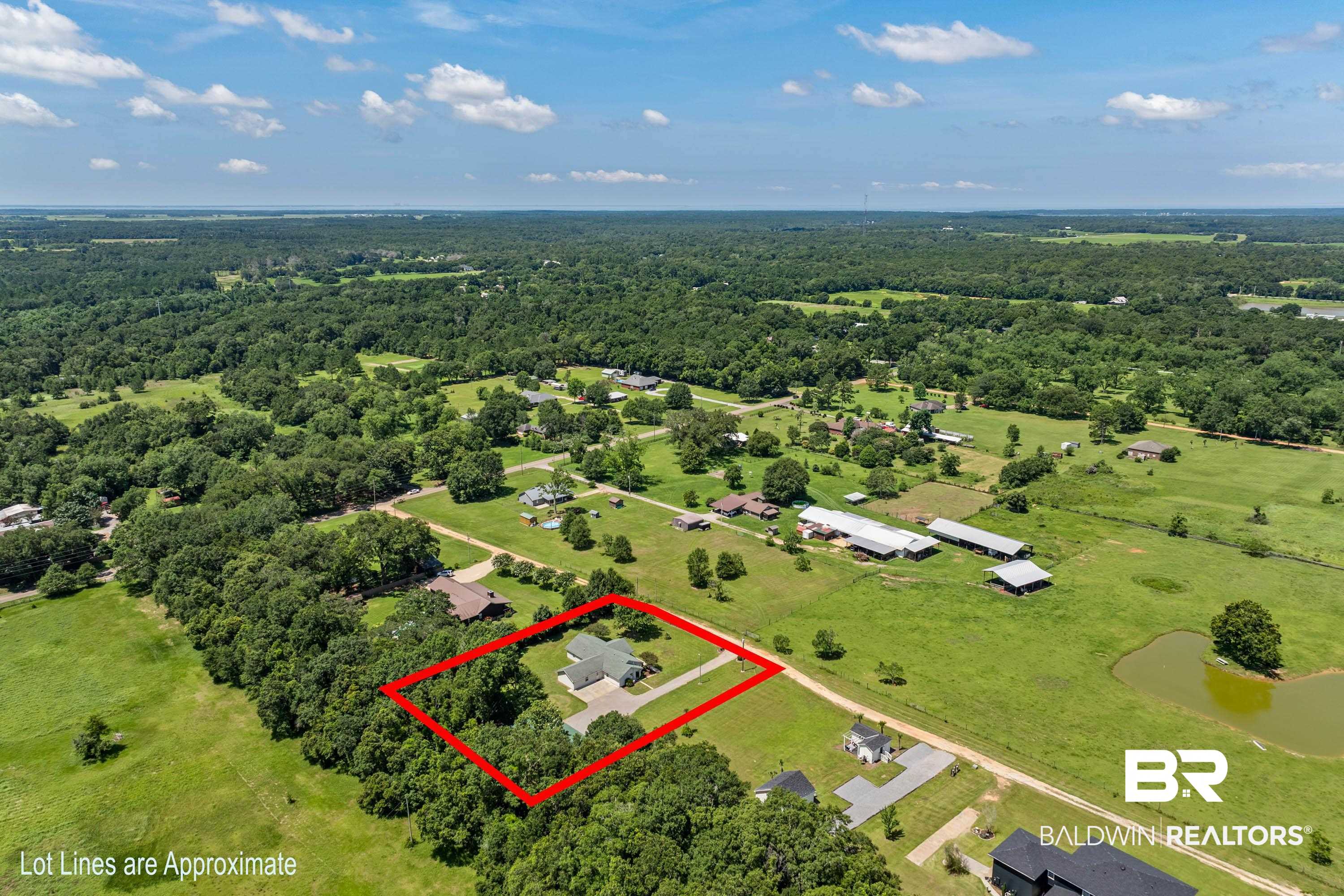 398596 | Photo 44