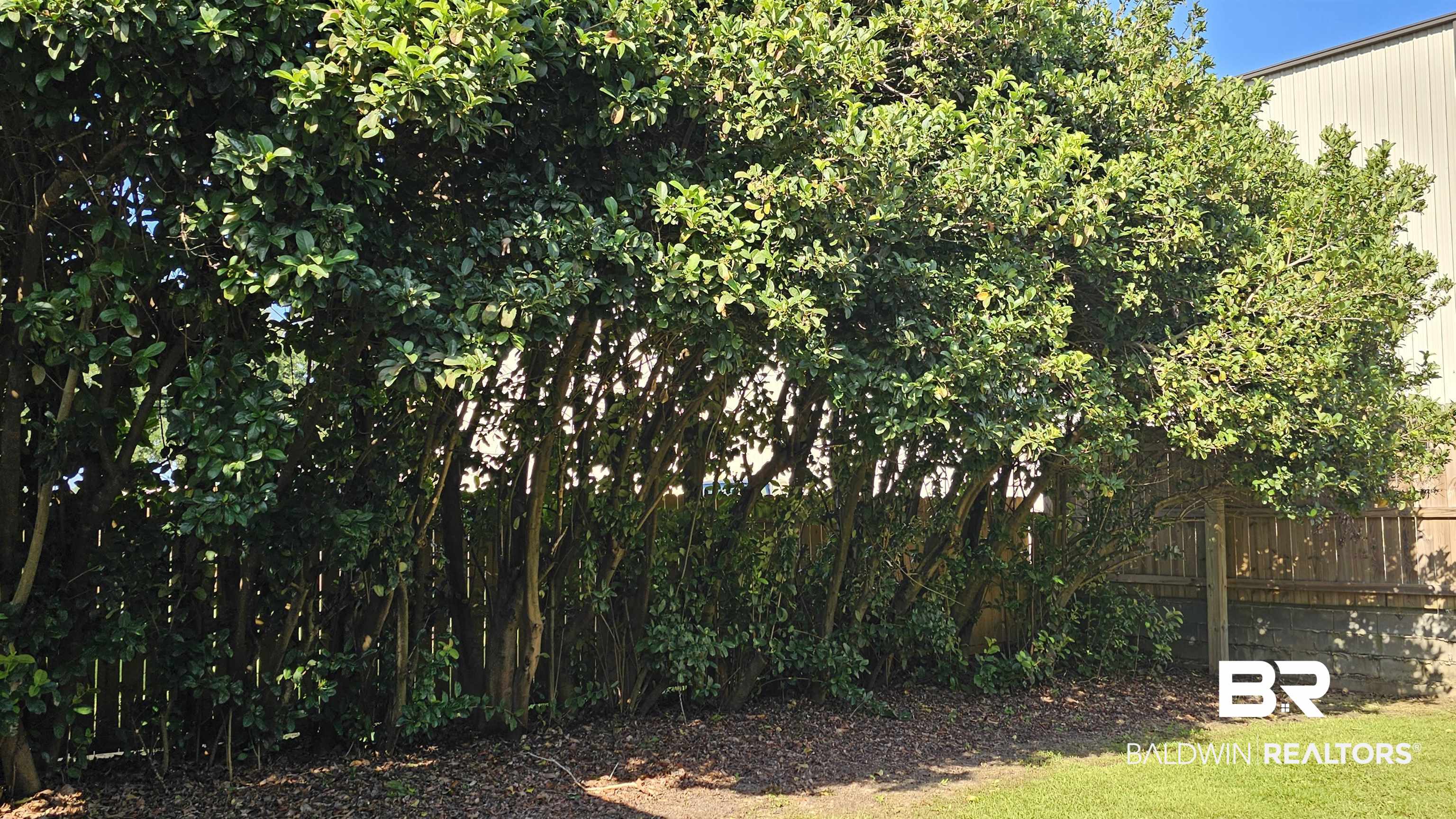 398668 | Photo 27