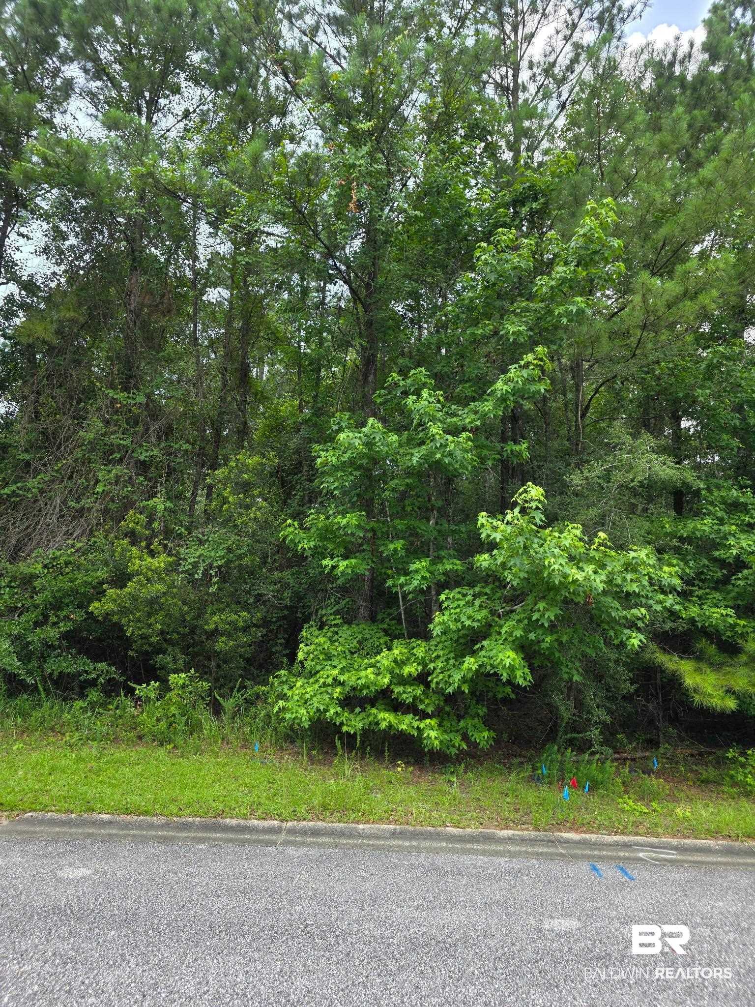 Land For Sale in Spanish Fort AL