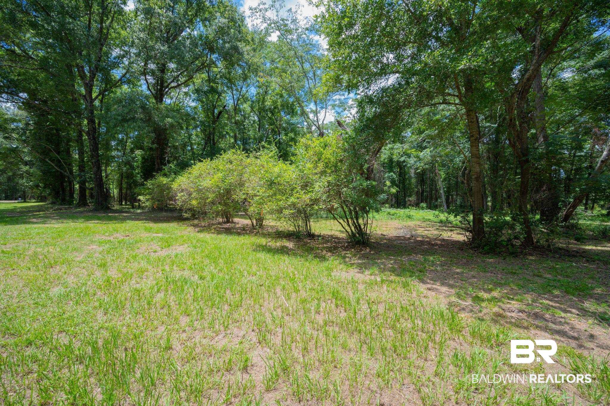 398812 | Photo 11