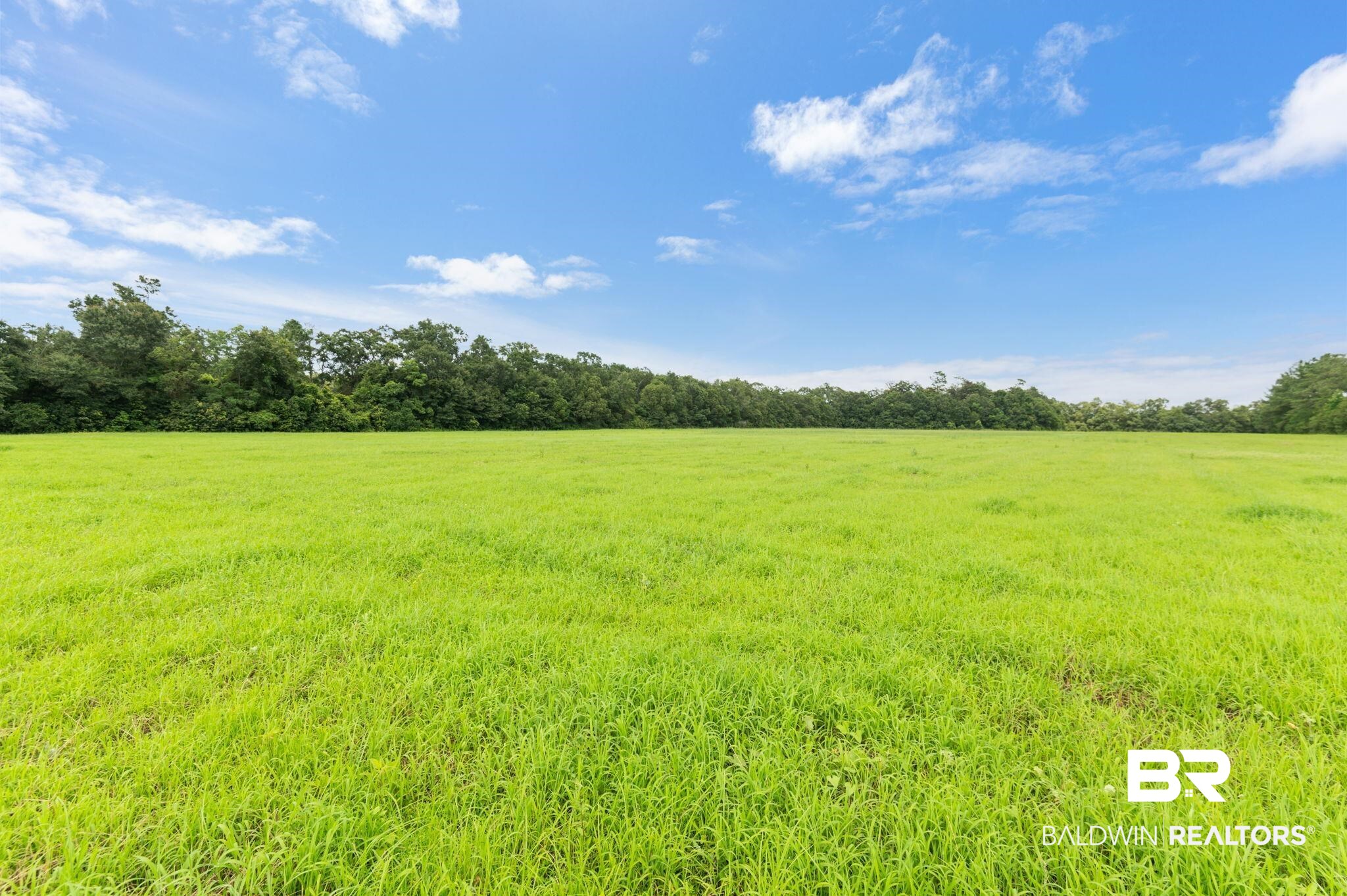 Silverhill AL Real Estate