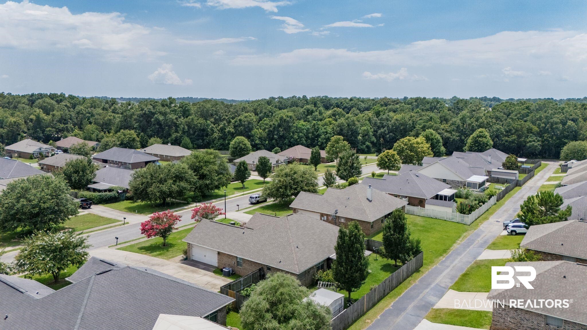 398970 | Photo 39