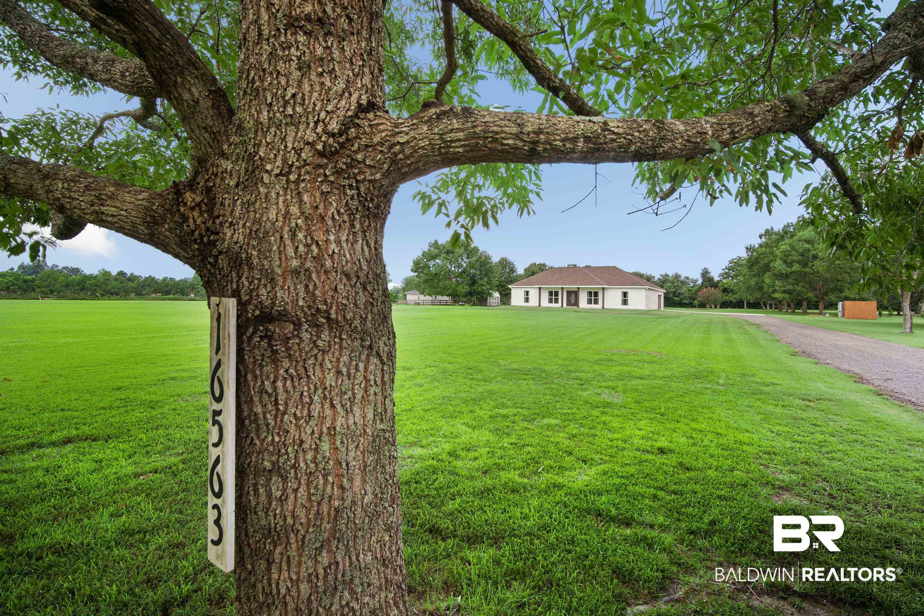 398983 | Photo 2