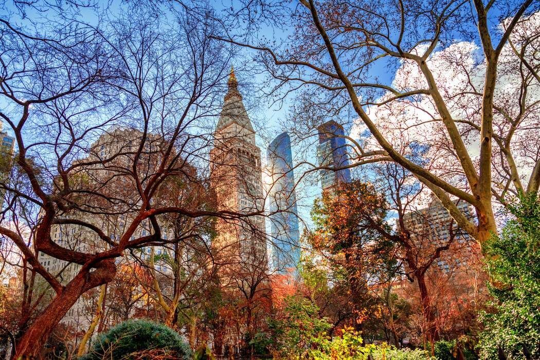 132 East 35th Street Murray Hill New York NY 10016