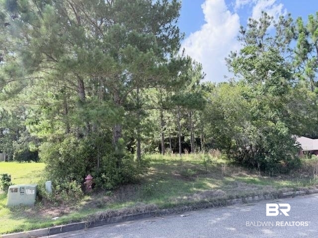 Commercial Property for Sale - Daphne