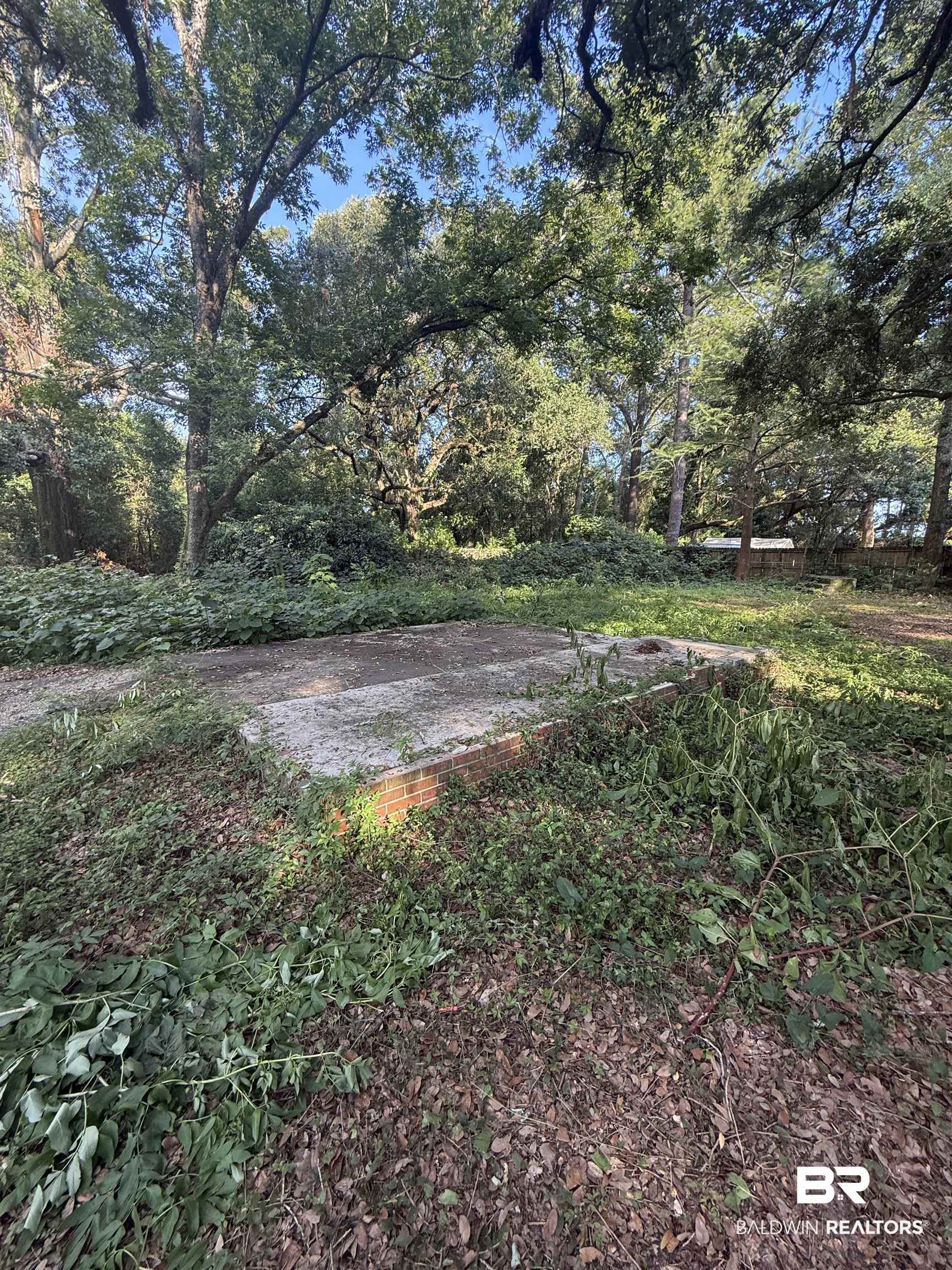 399138 | Photo 2