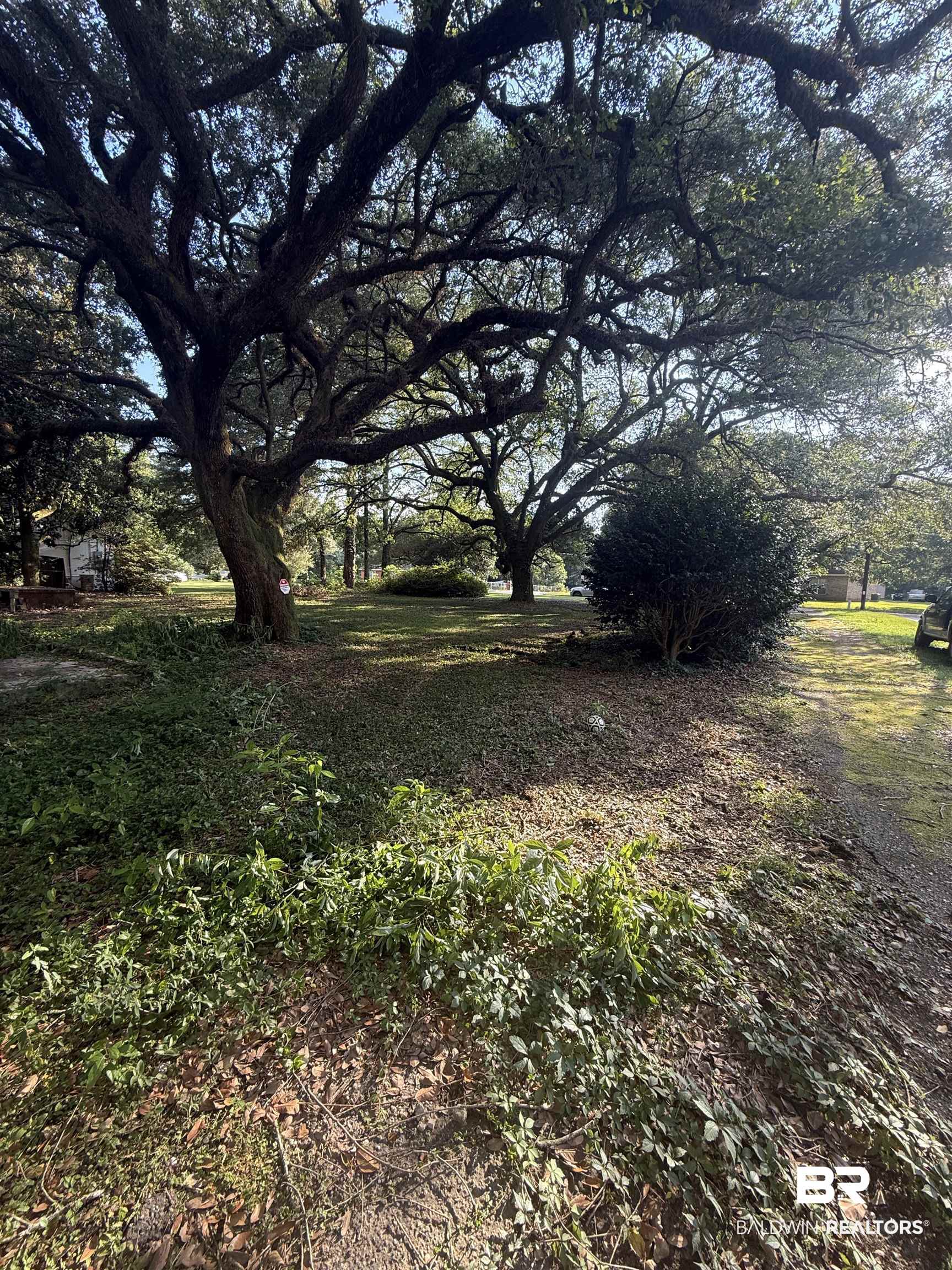 399138 | Photo 3