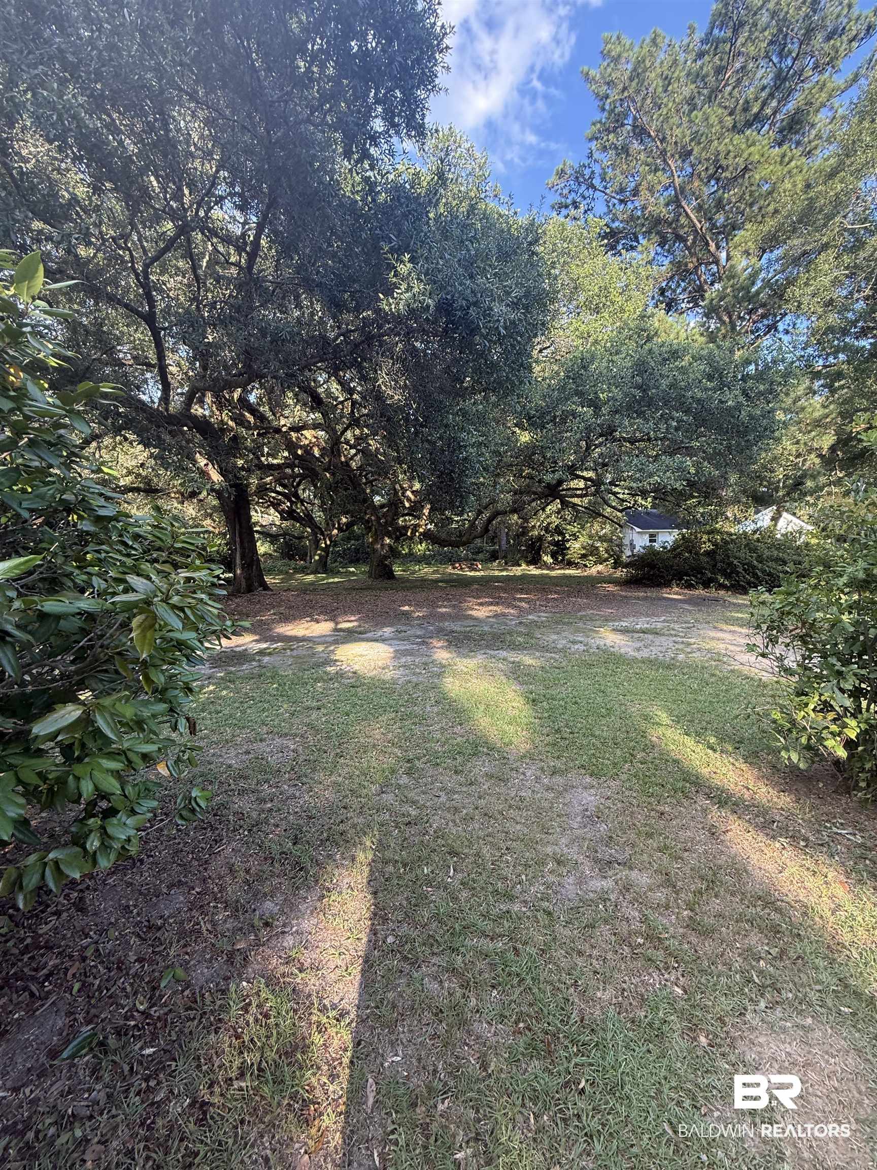 399138 | Photo 4