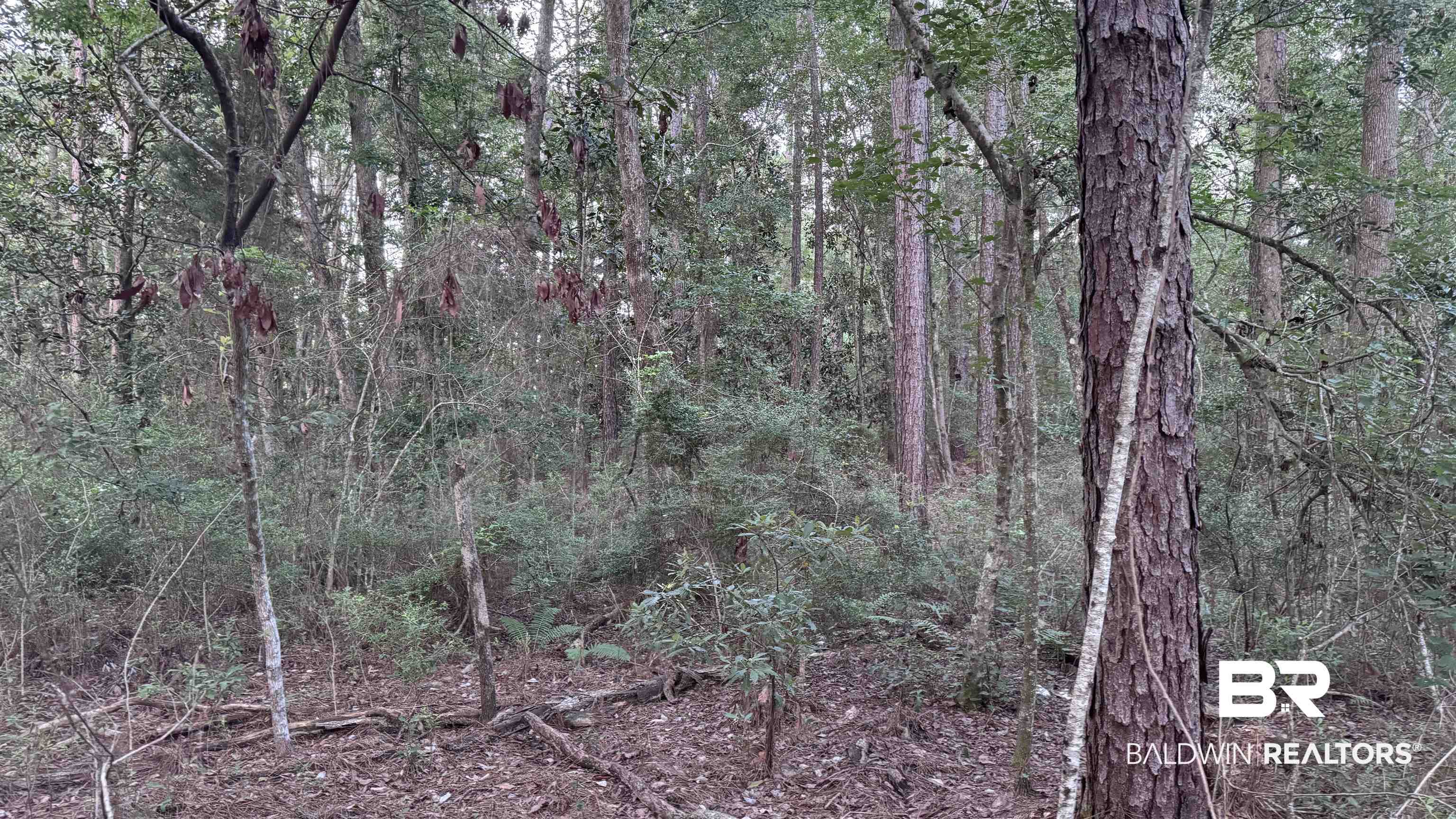 398575 | Photo 28