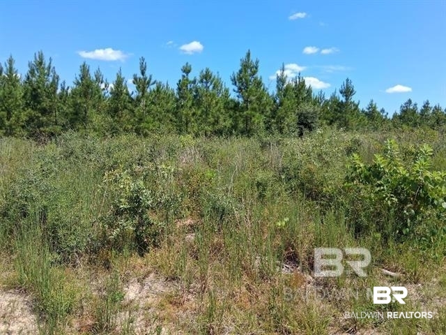 398755 | Photo 10