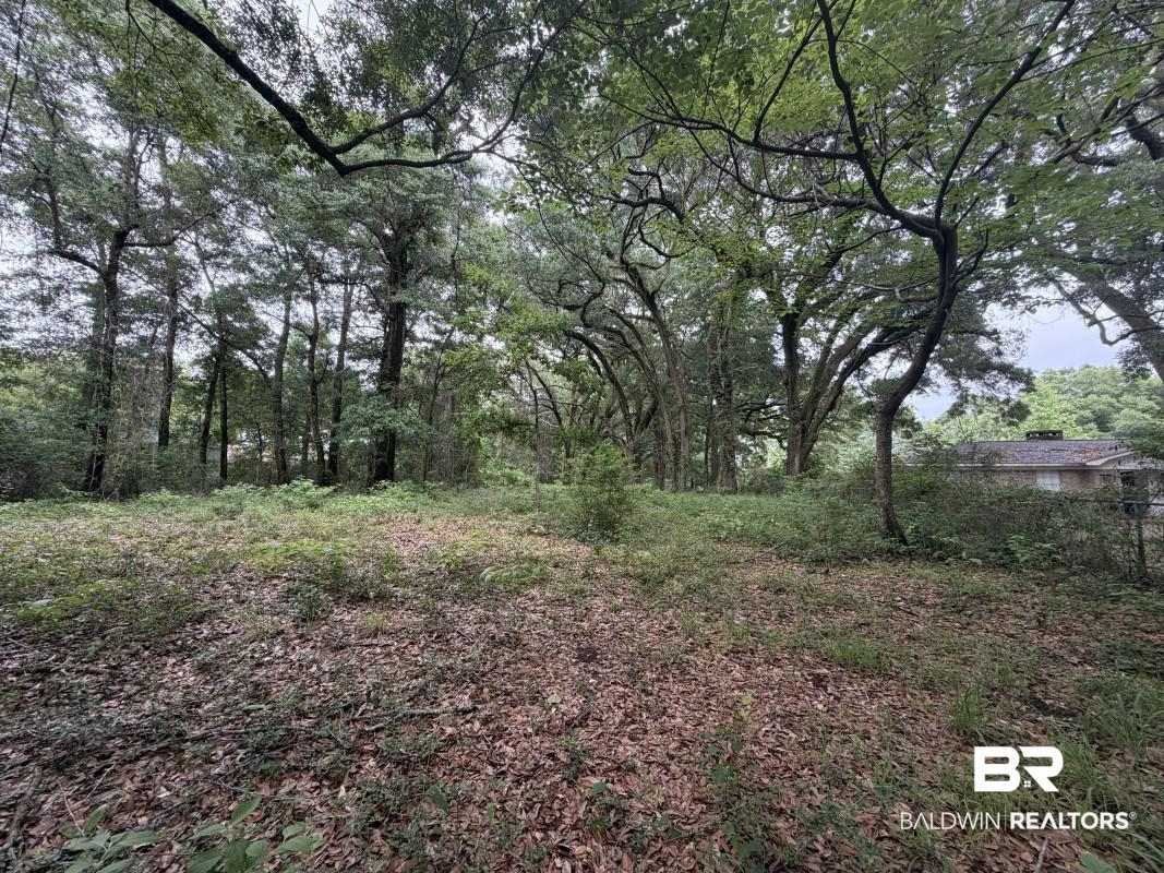 Land For Sale in Spanish Fort AL