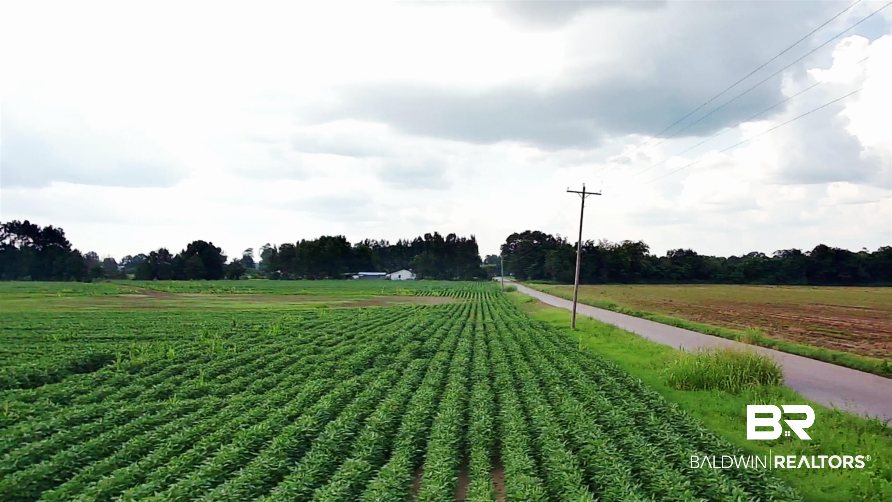 398993 | Photo 11