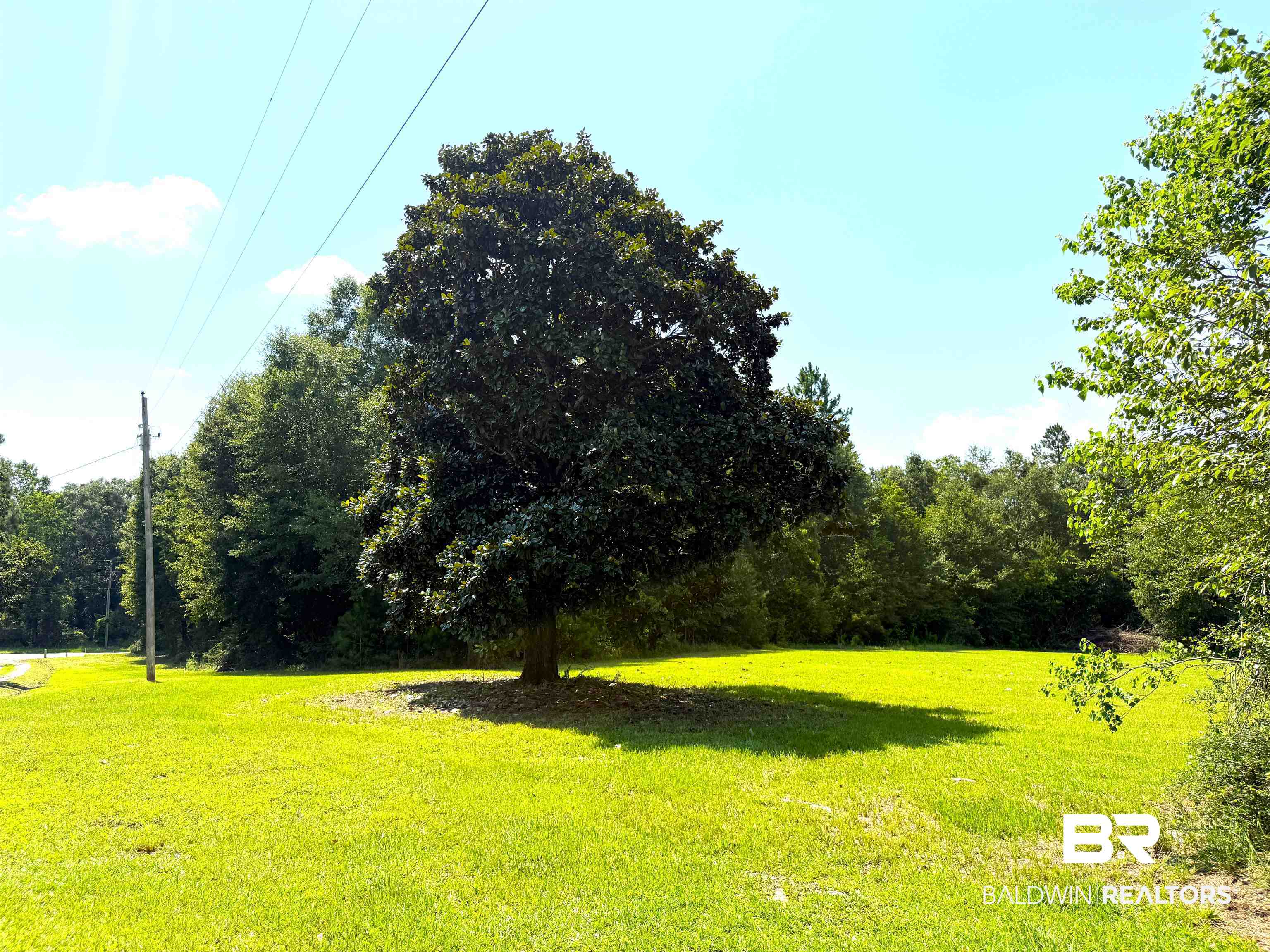 399146 | Photo 35
