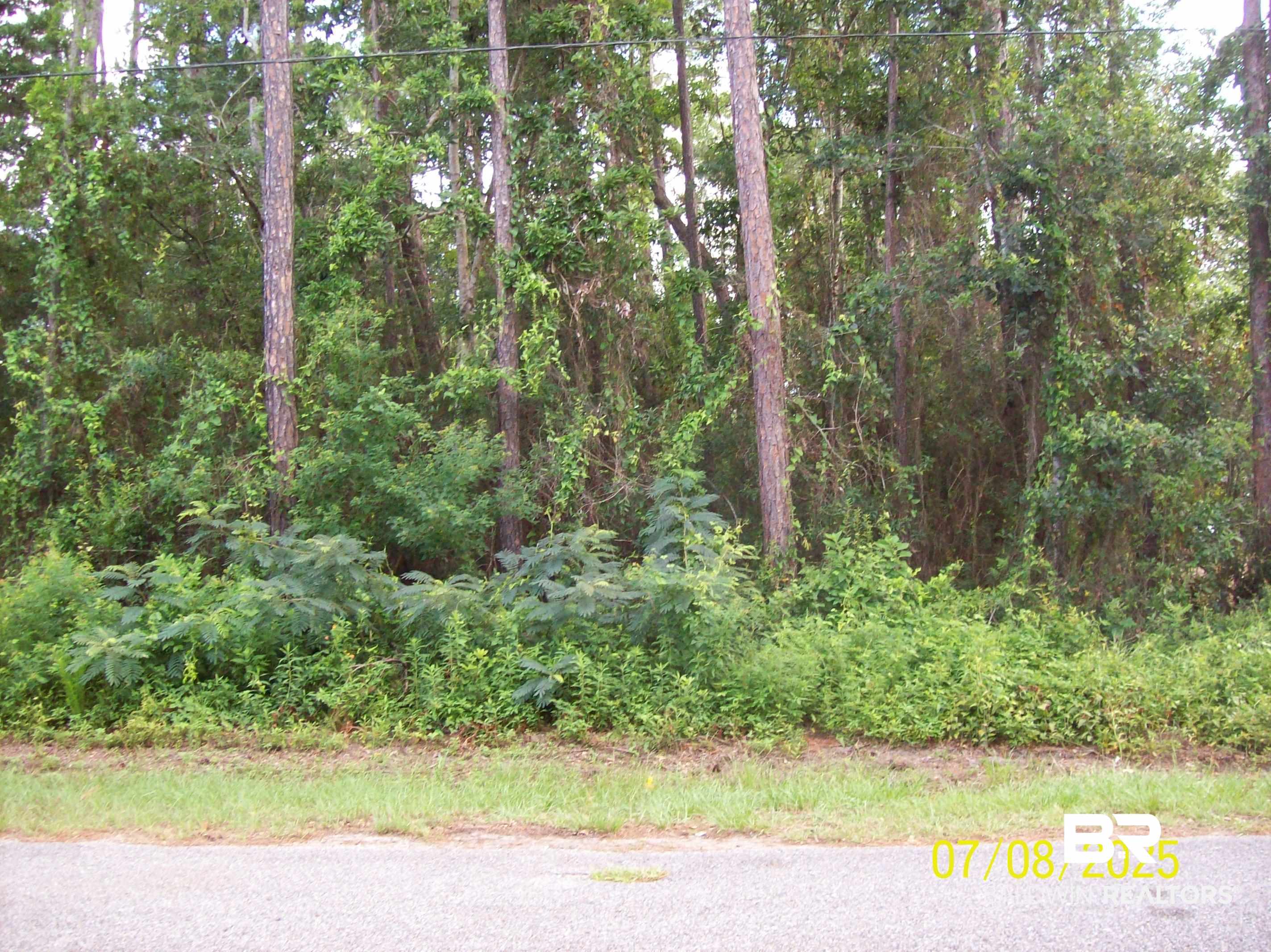 399161 | Photo 3