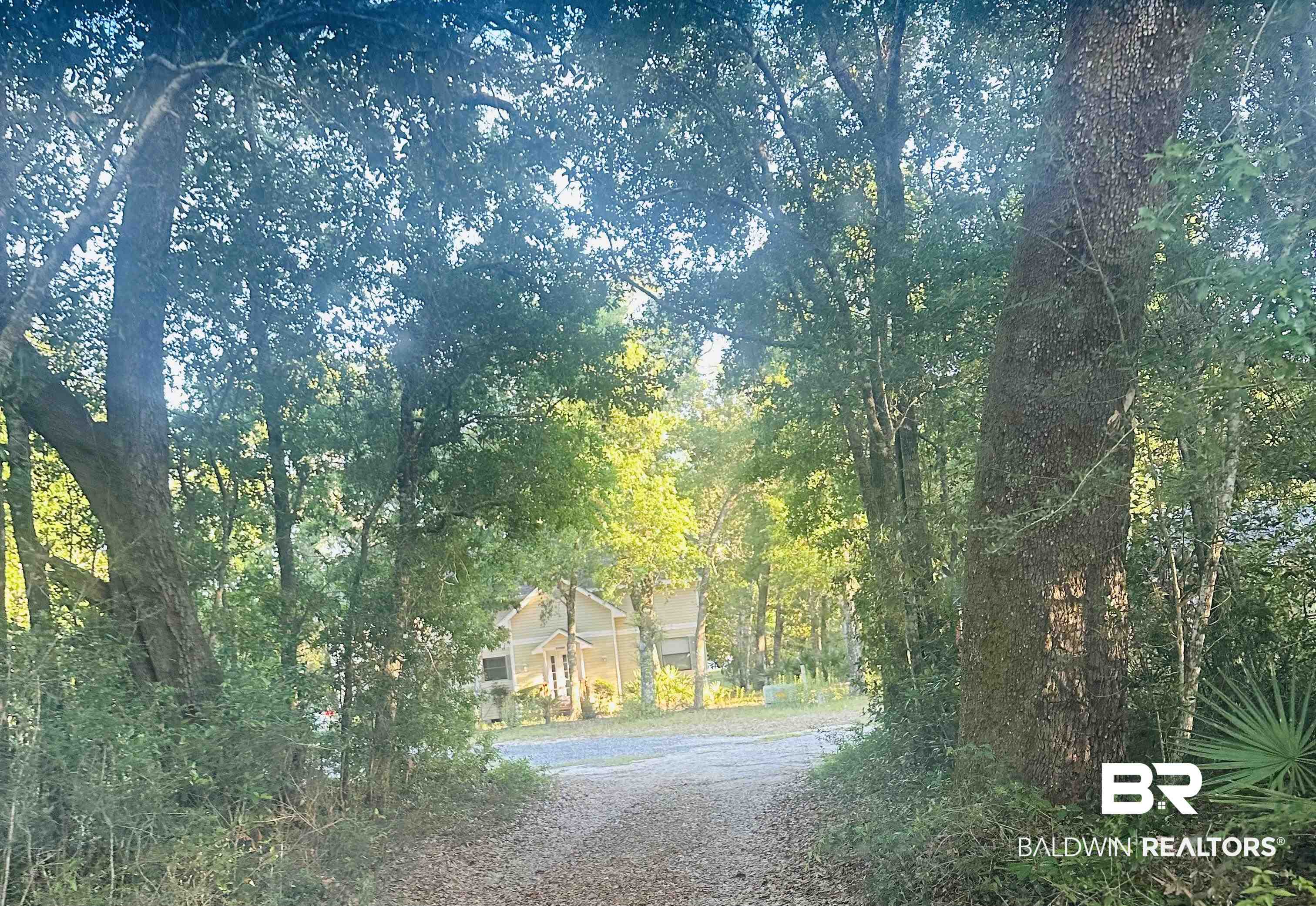 394348 | Photo 47