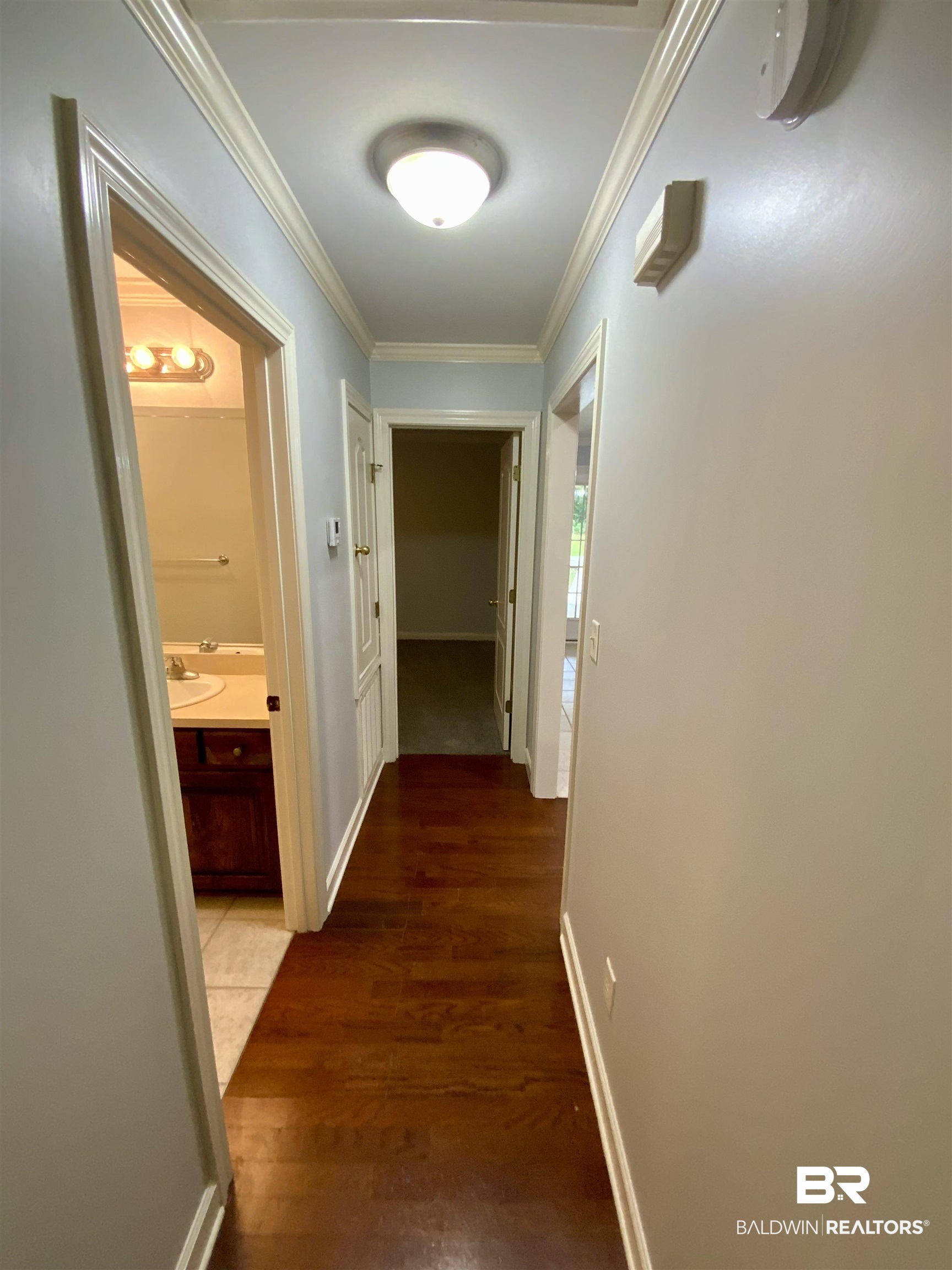 399388 | Photo 16