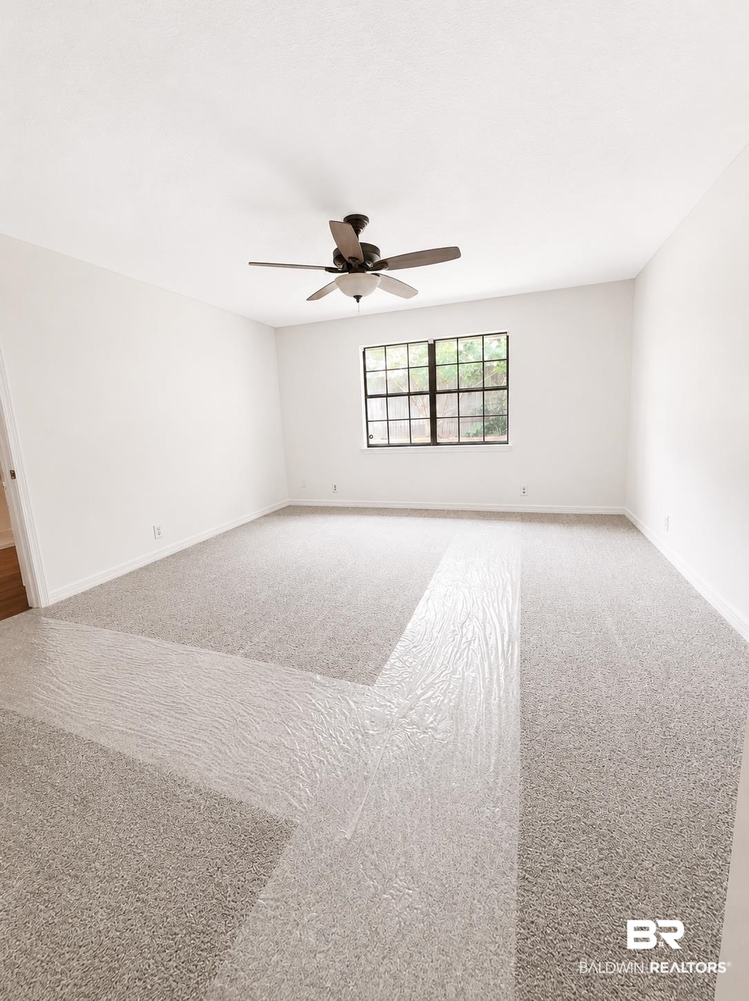 398911 | Photo 22