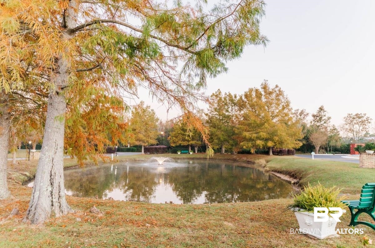 399294 | Photo 17